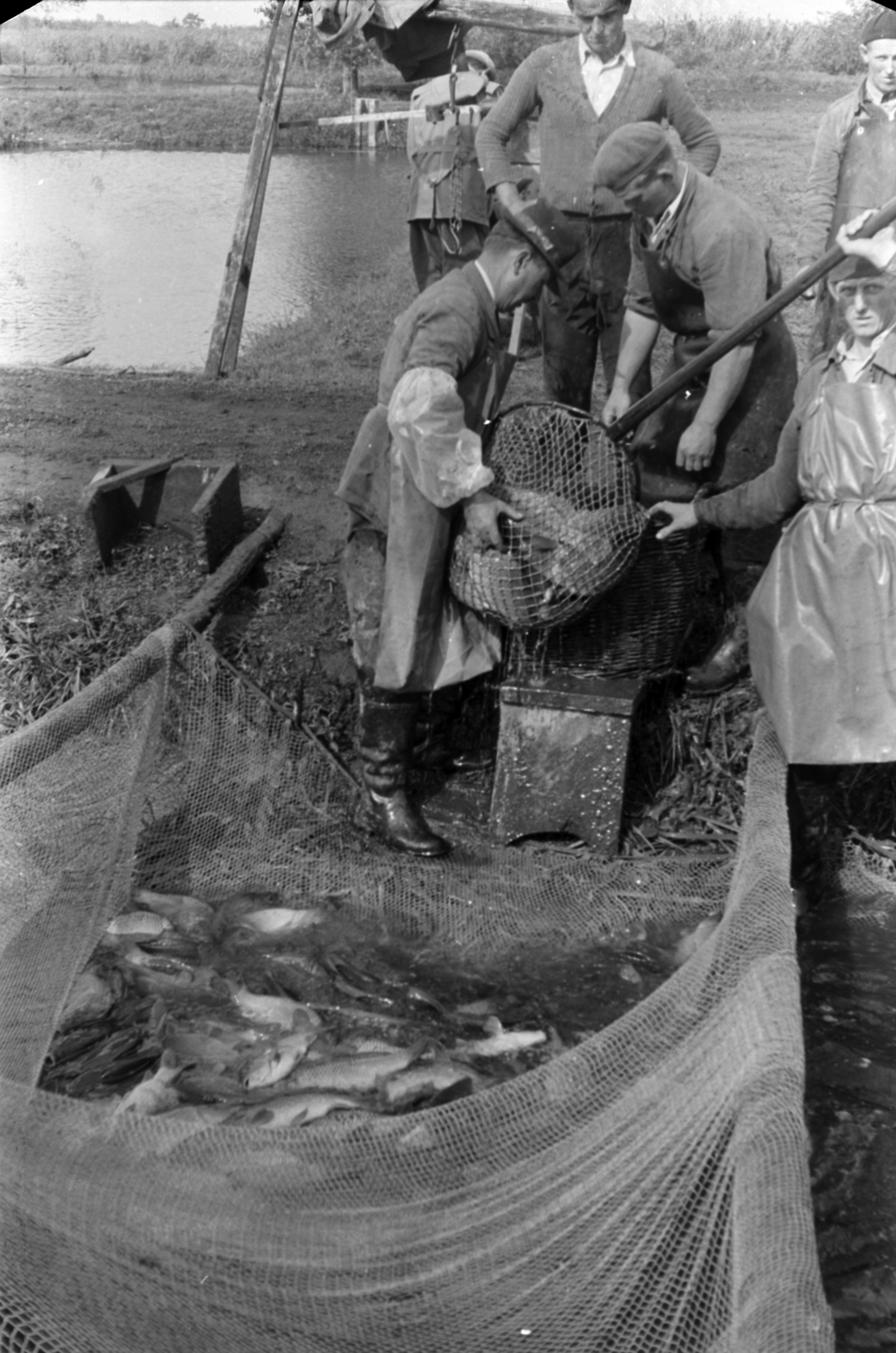 1960, Tölg Anna, fishing, landing net, men, Fortepan #189592