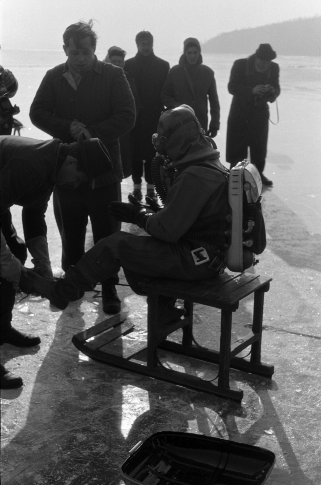 Magyarország, Balatonföldvár, 1961, Tölg Anna, fakutya, Fortepan #189651