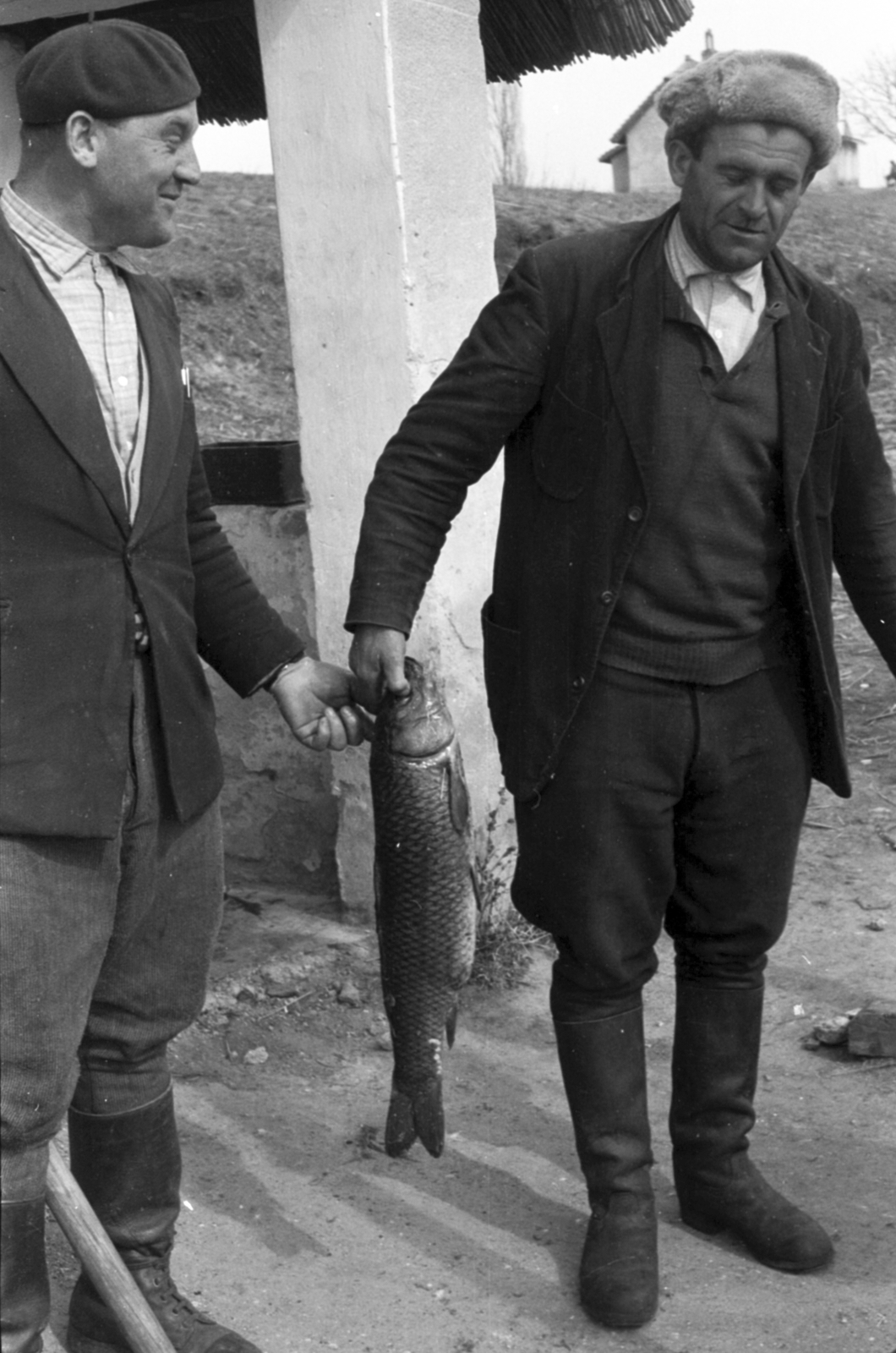 1961, Tölg Anna, hal, zsákmány, Fortepan #189662