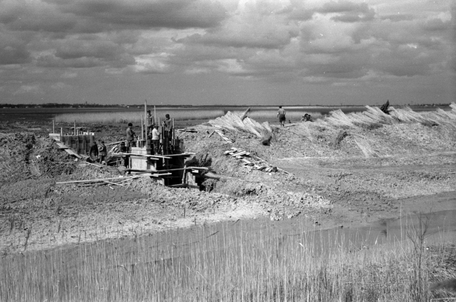 1961, Tölg Anna, Fortepan #189671
