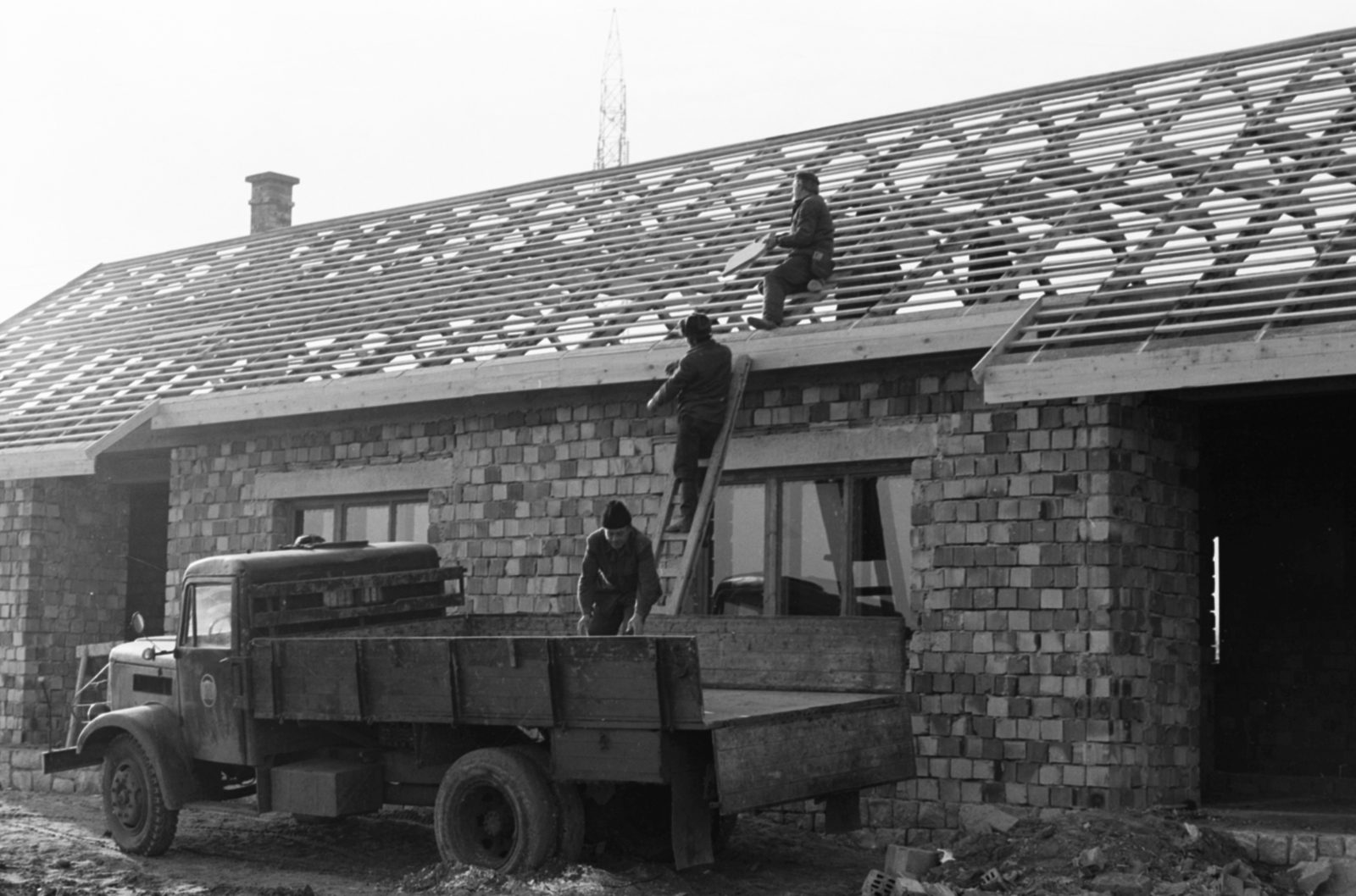 Hungary, Százhalombatta, a Temperáltvizű Halszaporító Gazdaság építkezése., 1972, Tölg Anna, Fortepan #189746