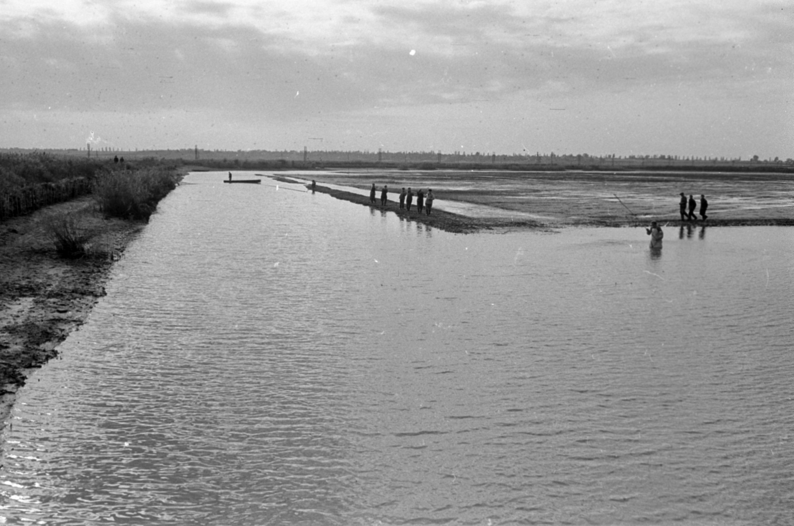 Hungary, Pákozd, Dinnyési halgazdaság, lehalászás., 1962, Tölg Anna, Fortepan #189758