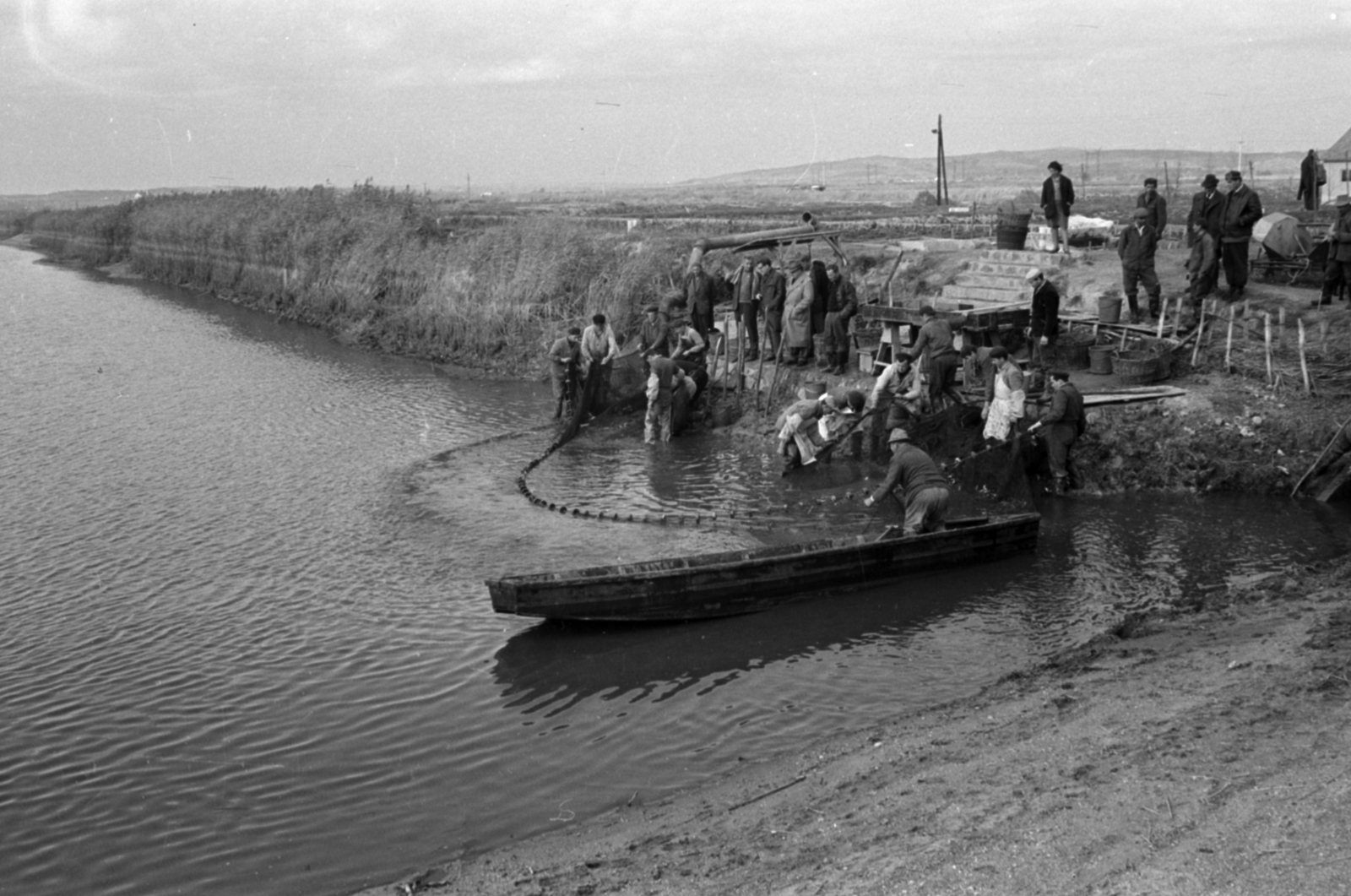 Magyarország, Pákozd, Dinnyési halgazdaság, lehalászás., 1962, Tölg Anna, Fortepan #189760