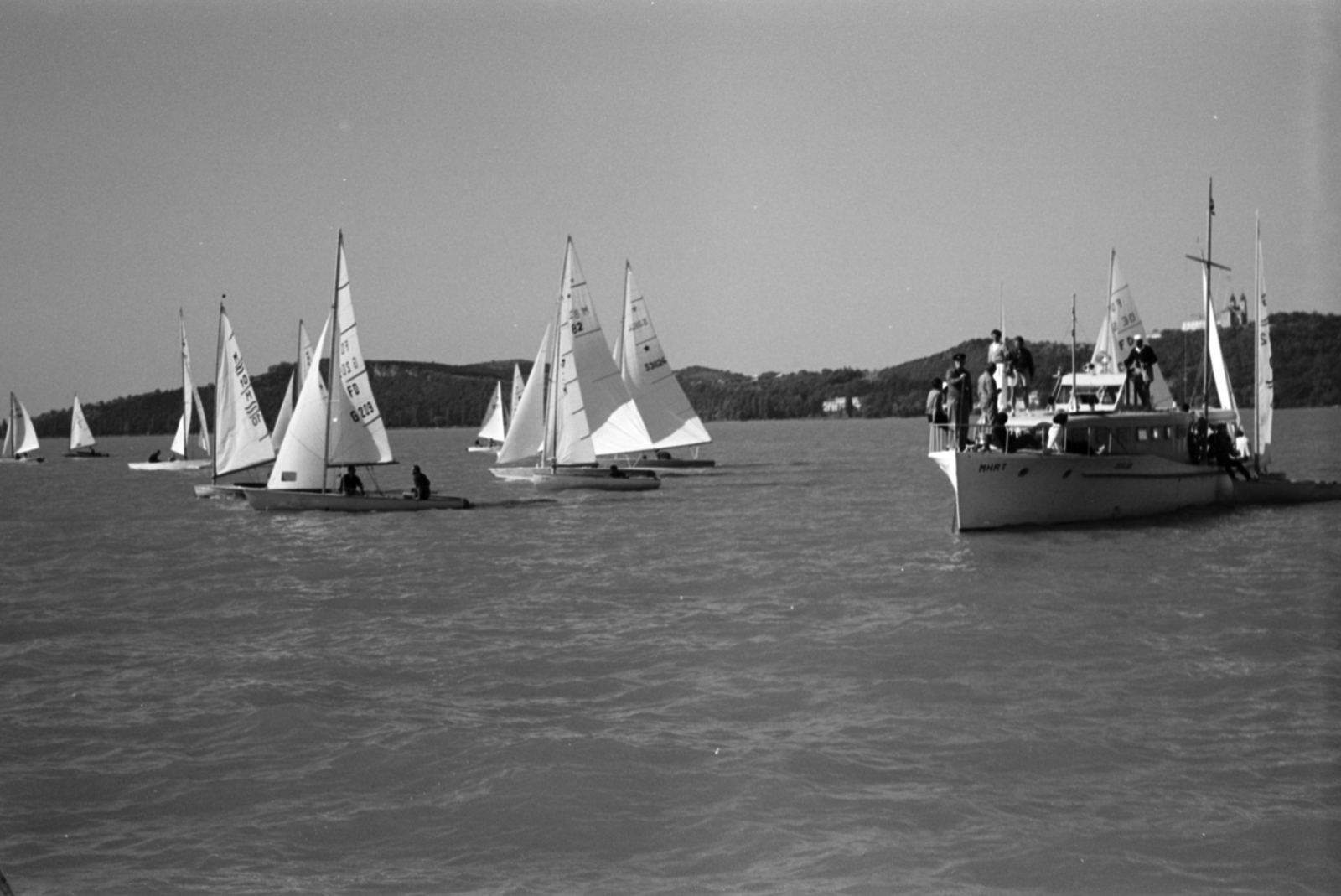 Hungary,Lake Balaton, vitorlásverseny. Háttérben jobbra a Tihanyi-félsziget, fenn a Bencés Apátság., 1962, Tölg Anna, Fortepan #189811