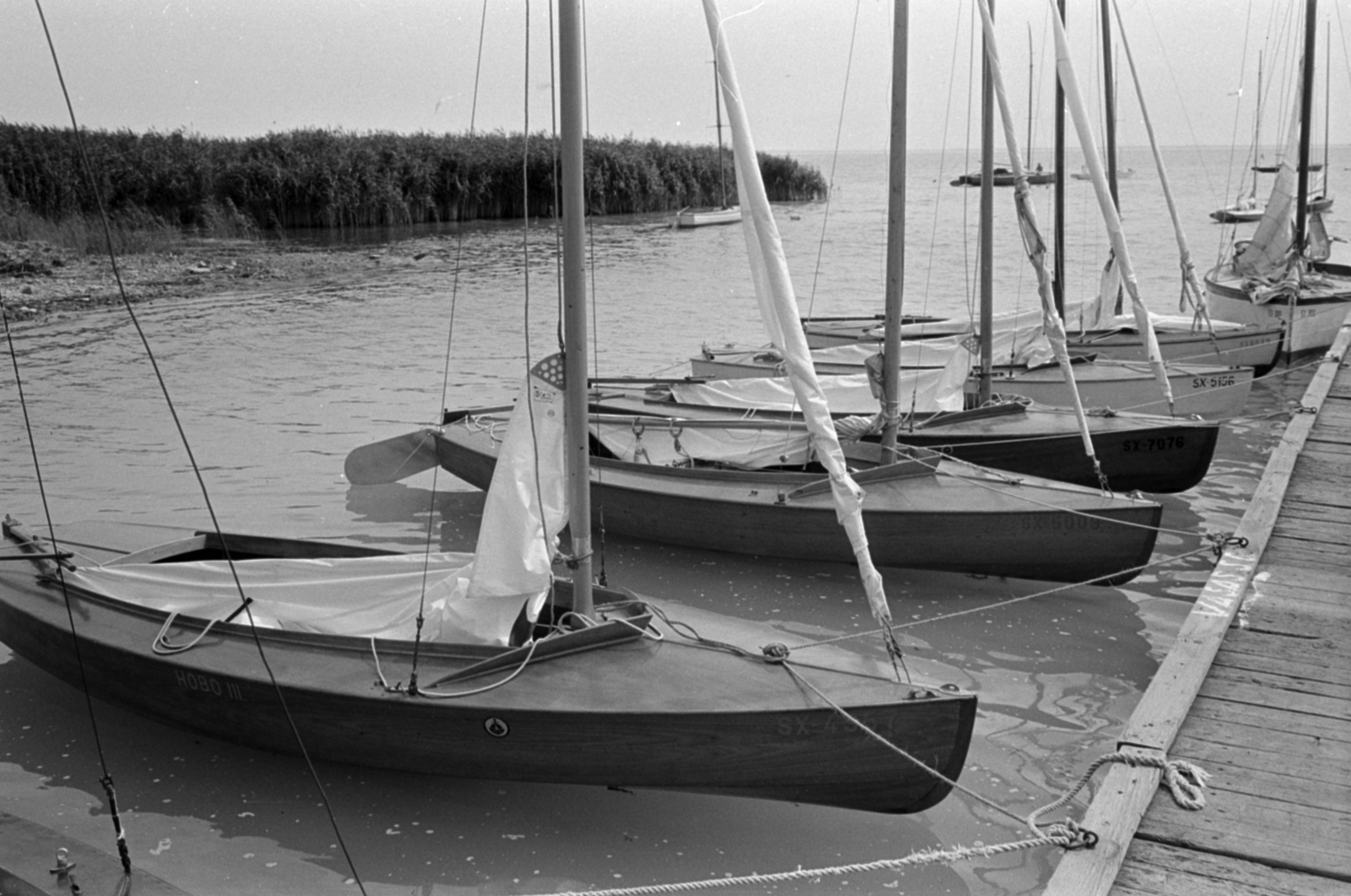 Magyarország, Balatonalmádi, MAHART Vitorlás Club., 1963, Tölg Anna, Fortepan #189883