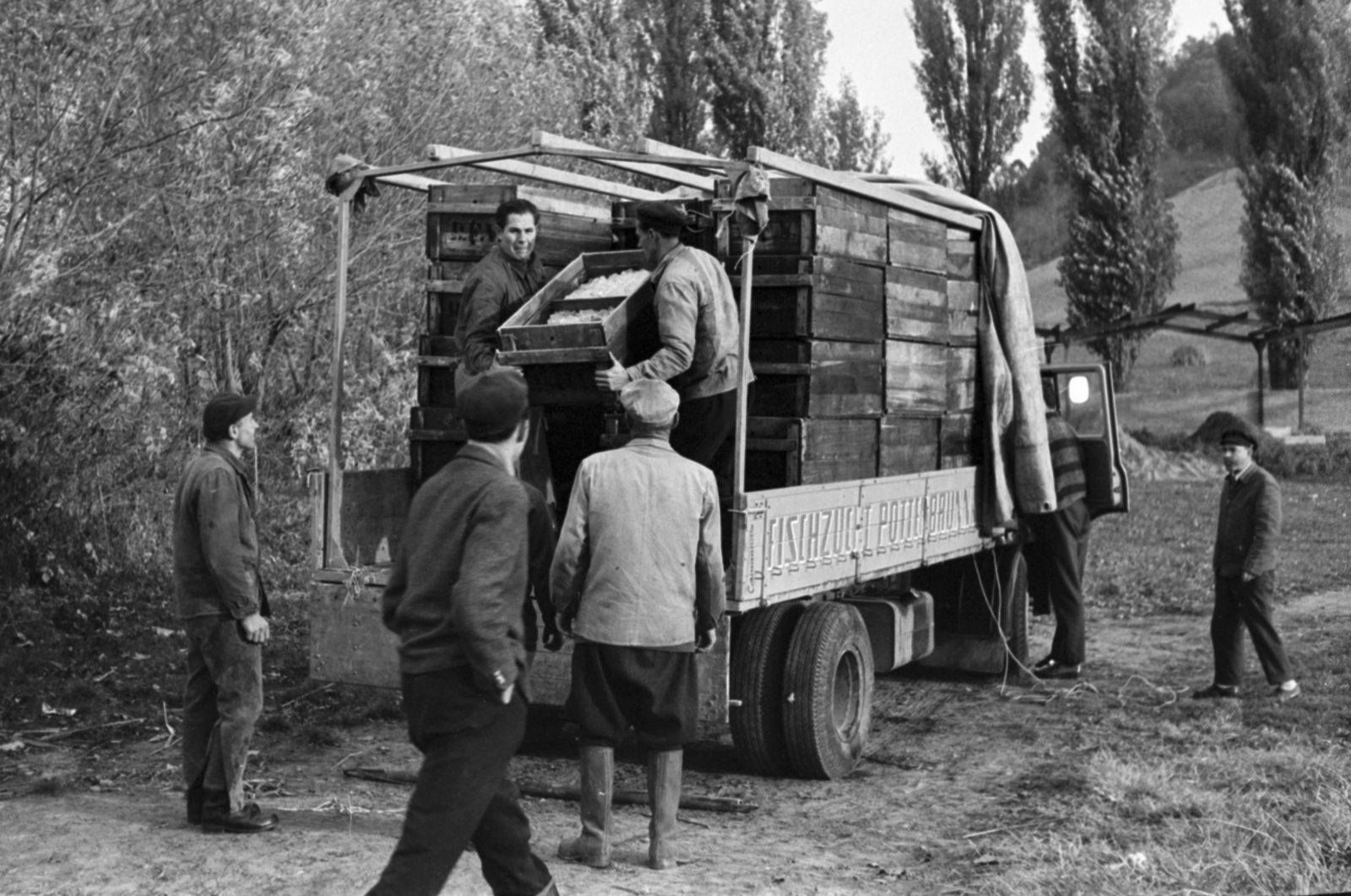 1963, Tölg Anna, chest, german text, commercial vehicle, Fortepan #189894