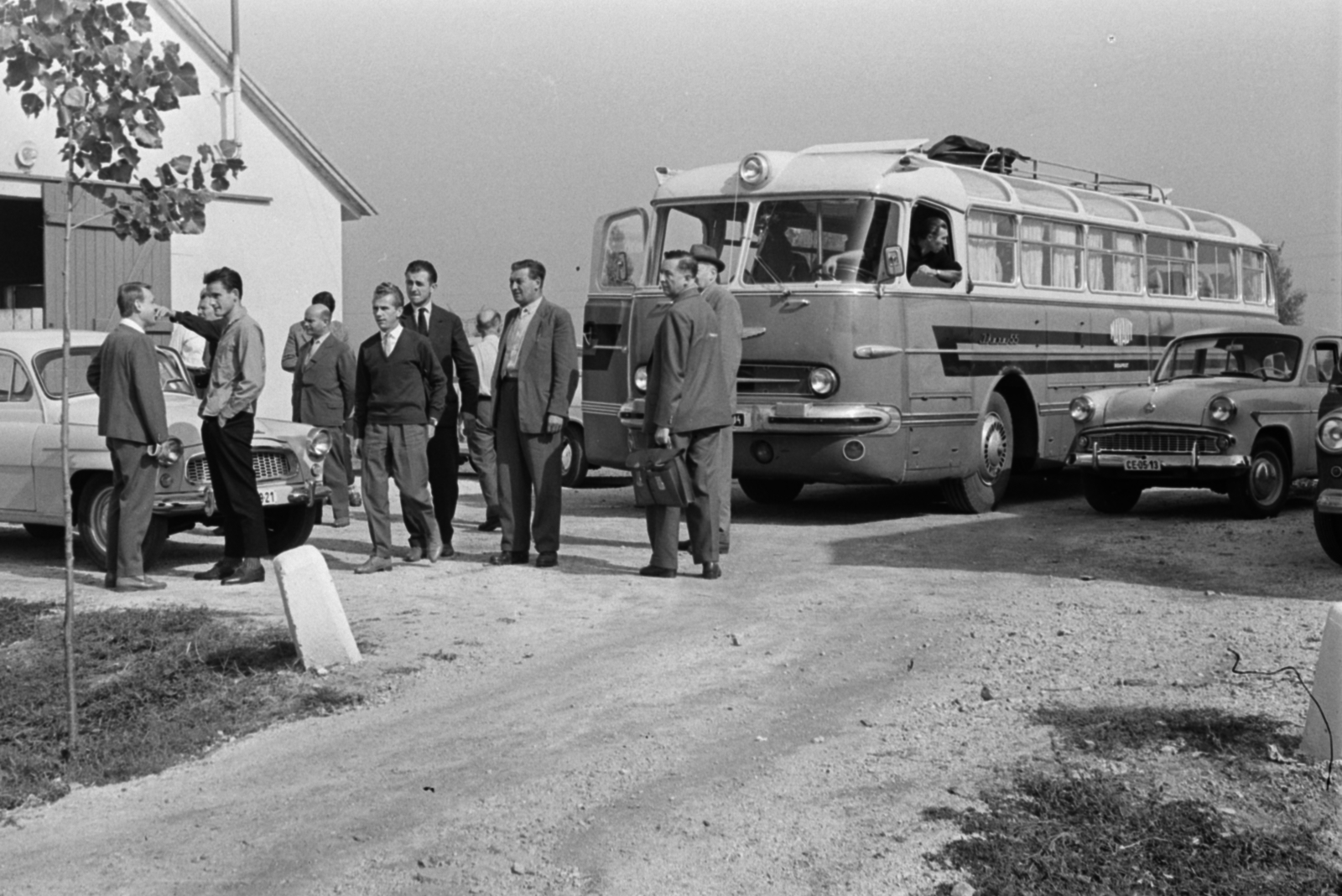 1963, Tölg Anna, Ikarus 55, Fortepan #189898