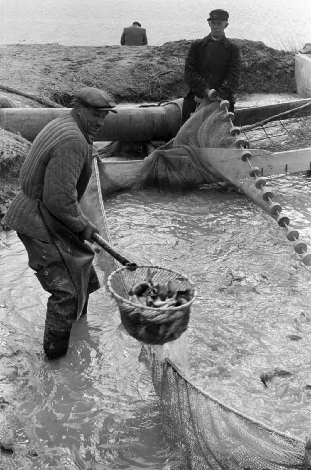 1963, Tölg Anna, quilted coat, landing net, hold in arms, Fortepan #189902