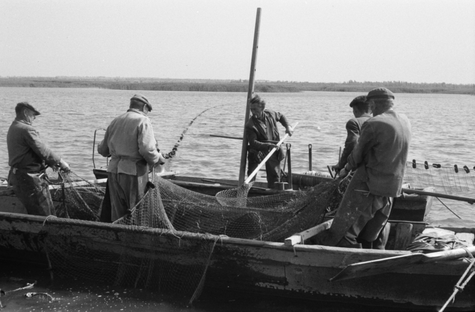 1963, Tölg Anna, Fortepan #189903