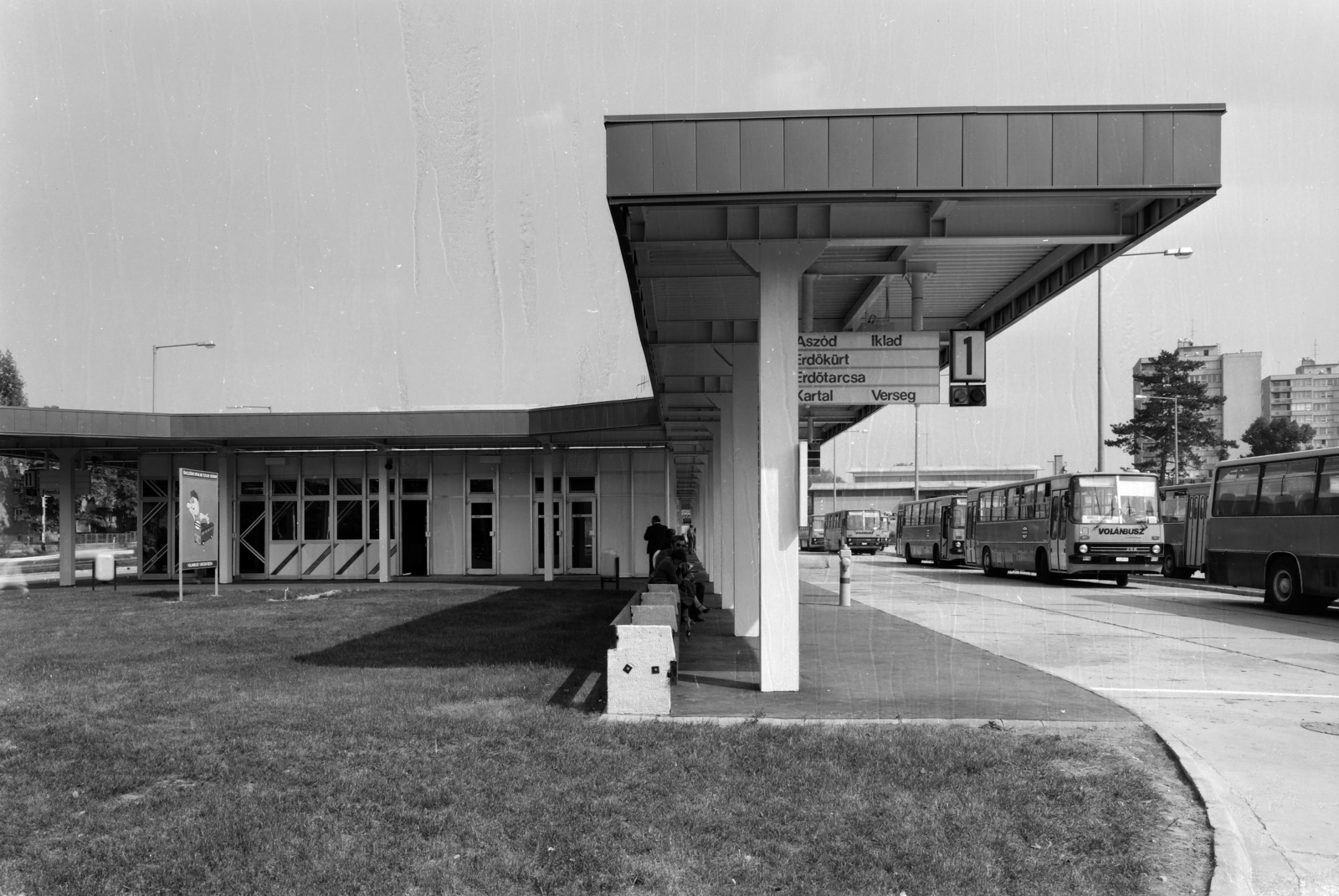 Hungary, Gödöllő, autóbusz-pályaudvar., 1986, UVATERV, bus, Ikarus-brand, Fortepan #189980