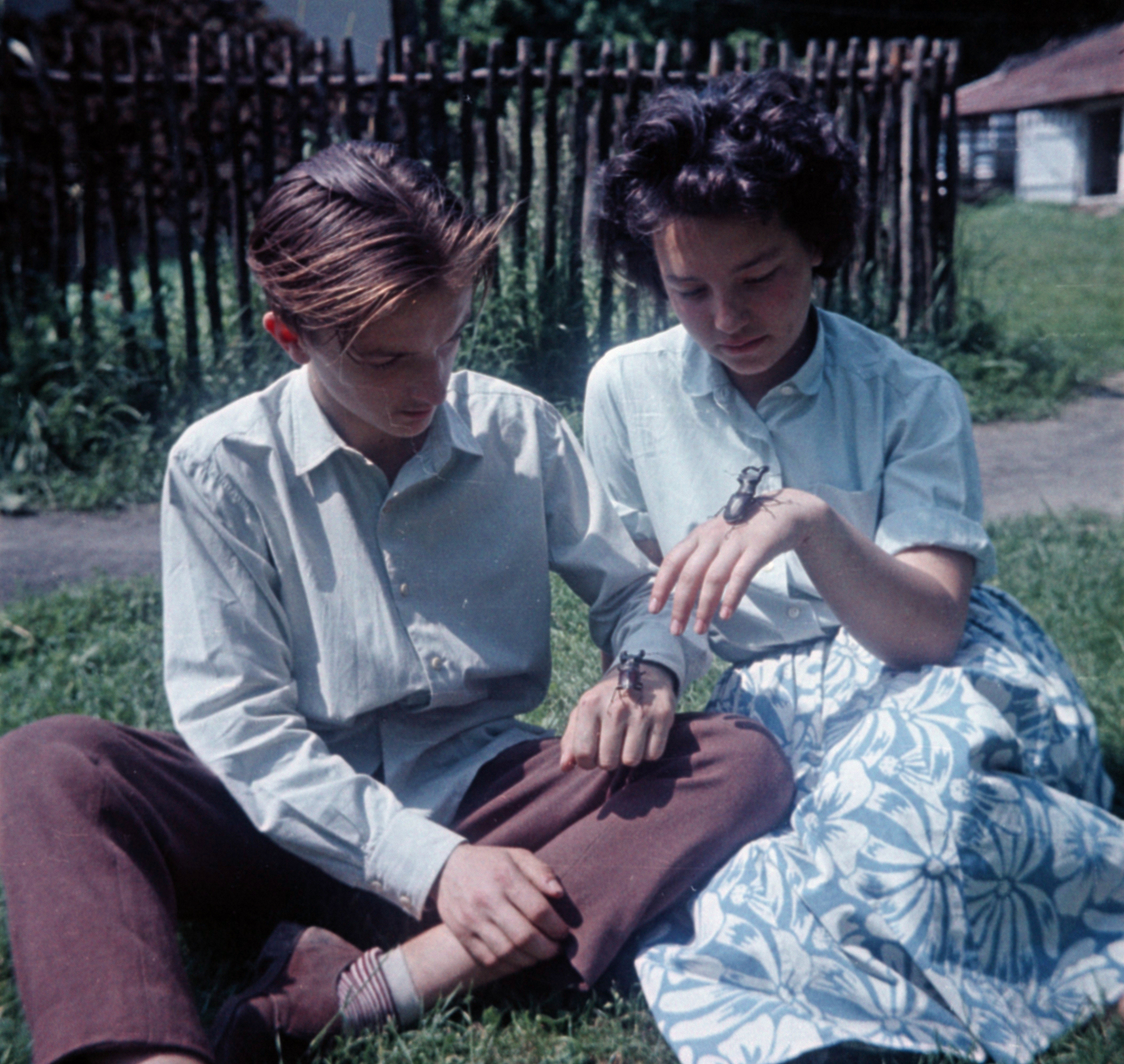 1958, Zagyva Tiborné, insect, colorful, man and woman, Fortepan #190379