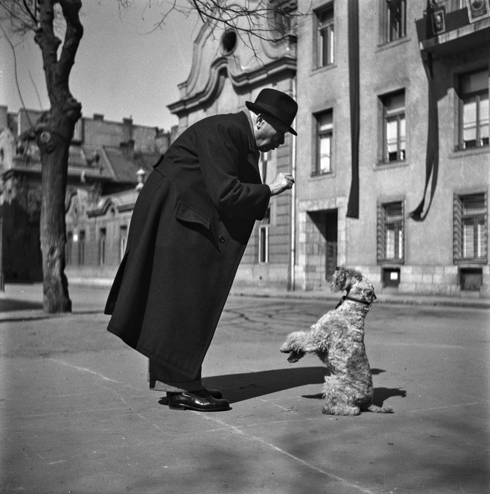 Hungary, Budapest IX., Bakáts tér, a Knézich utca felőli sarok., 1952, Fortepan, dog, street view, man, Budapest, Best of, Fortepan #1904