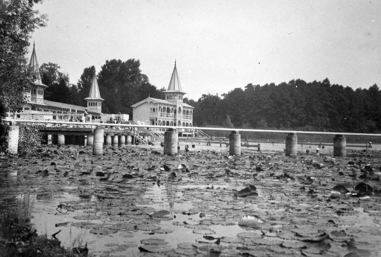Hungary, Hévíz, Tófürdő., 1936, Jankovszky György, lake, water lily, Fortepan #19048