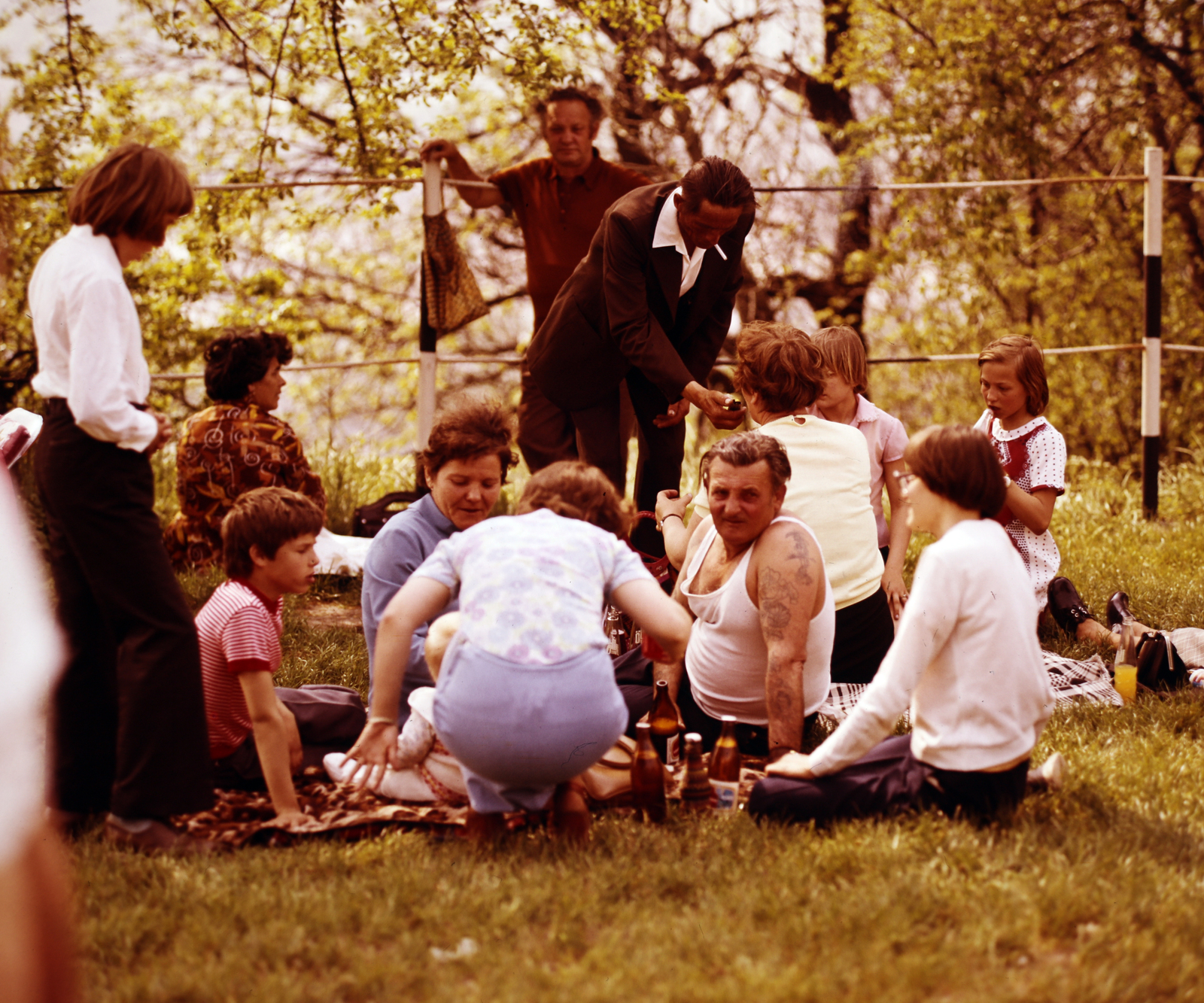 1971, Szalay Zoltán, picnic, odd one out, colorful, back, Fortepan #190971