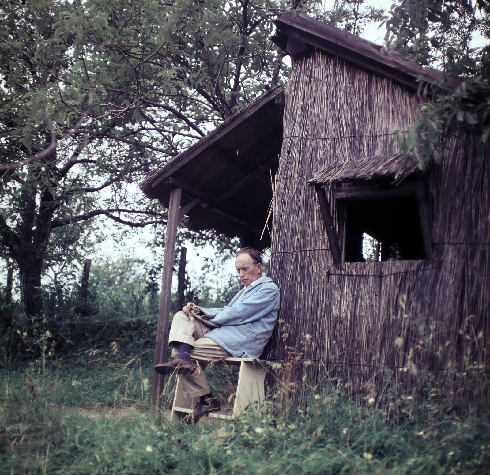 Magyarország, Bernáth Aurél festőművész., 1966, Szalay Zoltán, színes, Best of, Fortepan #190974