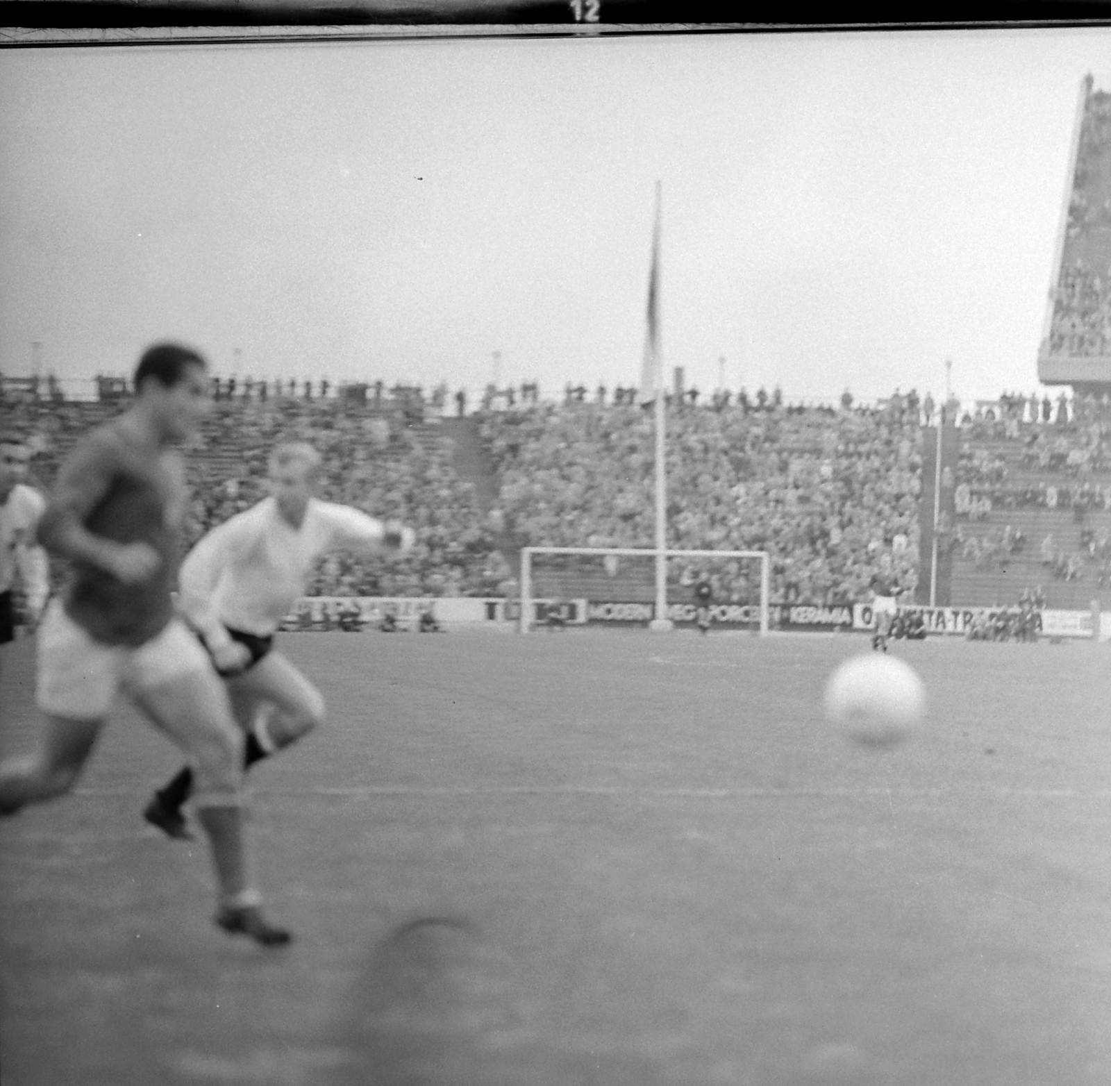 Hungary, Népstadion, Budapest XIV., 1960, Kotnyek Antal, Budapest, Fortepan #19108