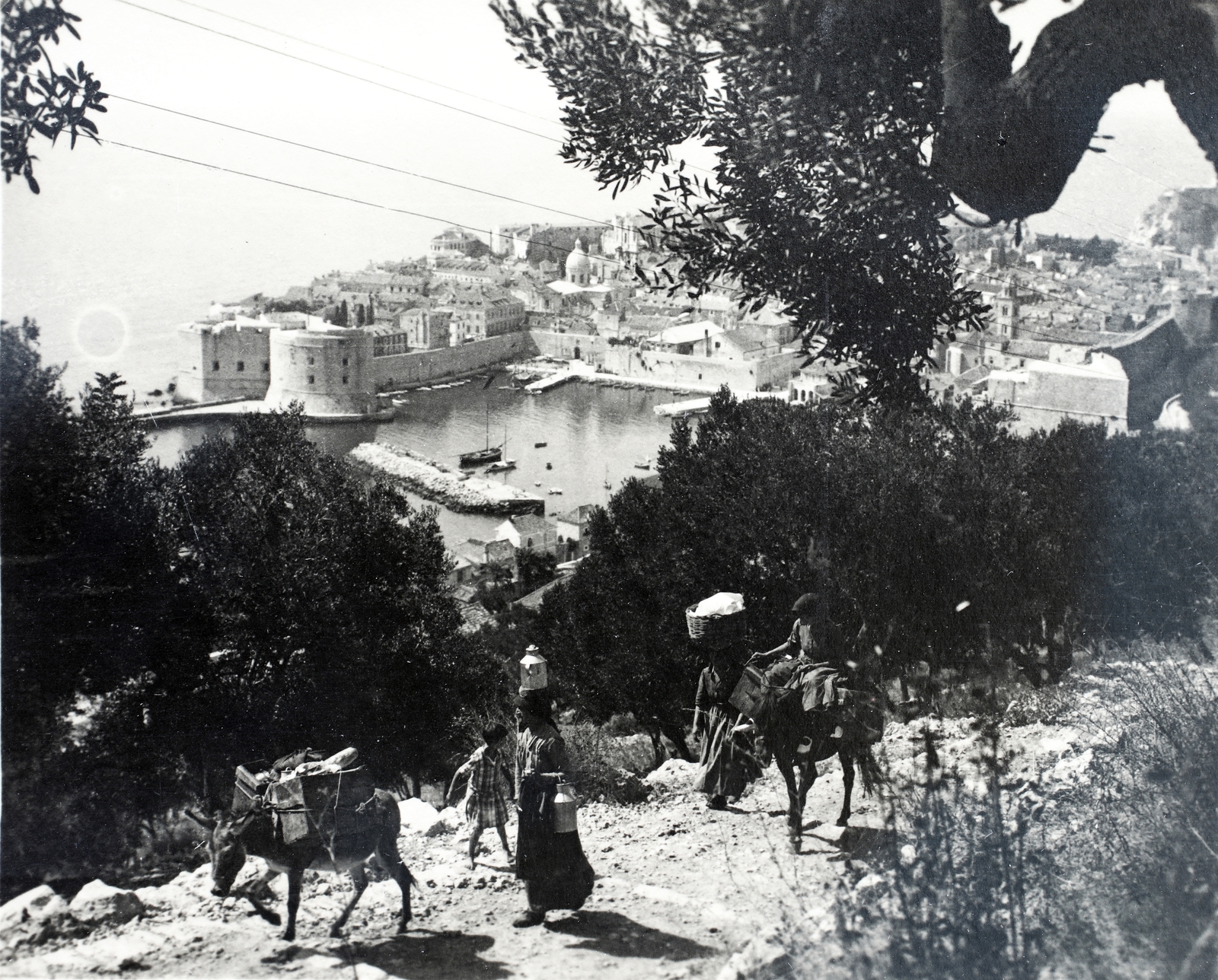 Croatia,Adriatic Sea, Dubrovnik, a város látképe kelet felől., 1938, Kieselbach Gyula, donkey, Best of, Fortepan #191420
