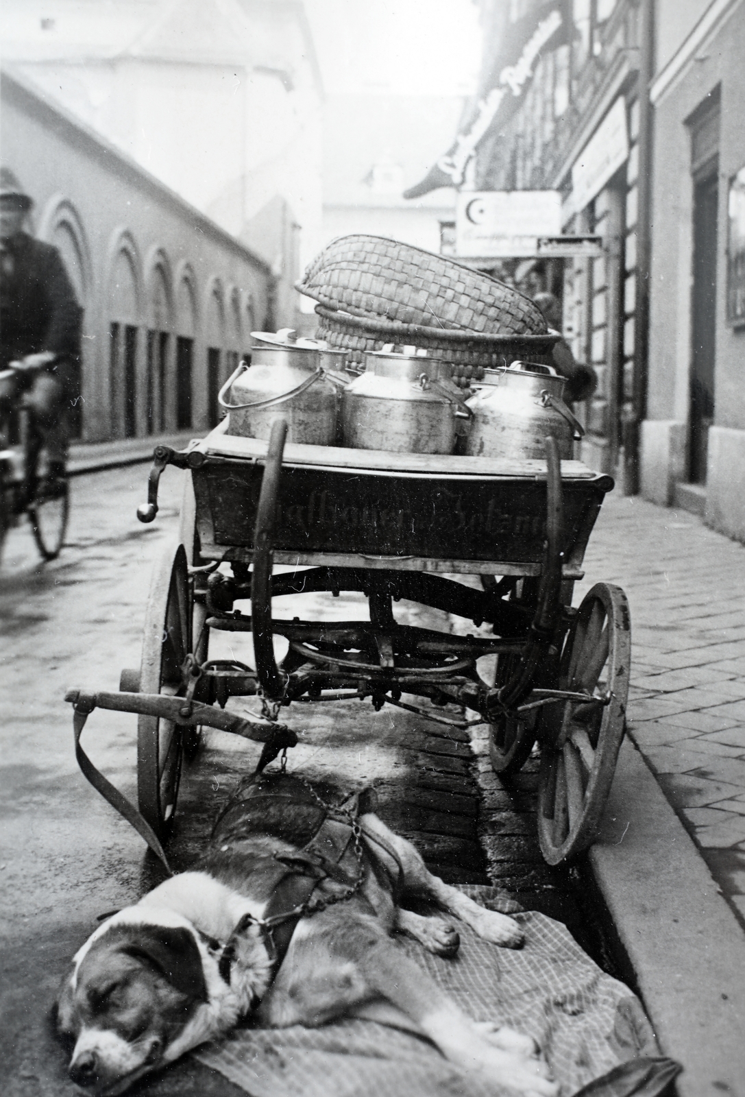1937, Kieselbach Gyula, chariot, milk can, dog cart, sleeping, Fortepan #191451