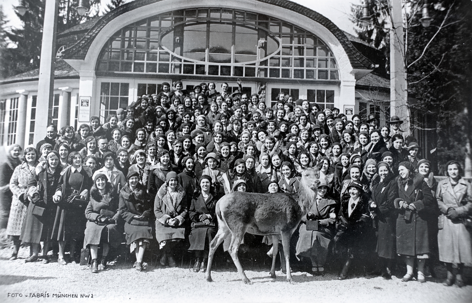 1932, Kieselbach Gyula, deer, Fortepan #191503