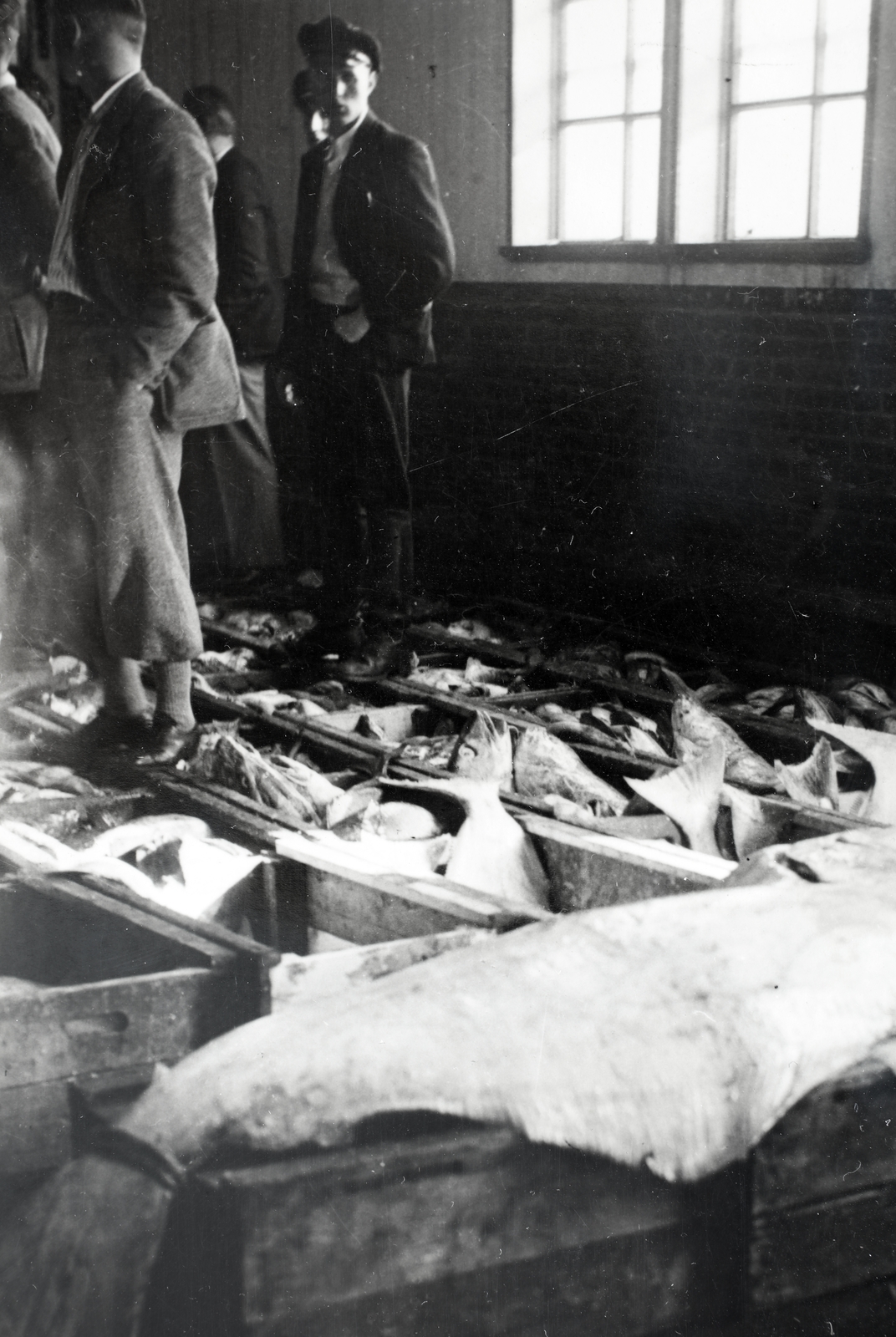 Norway, Trondheim, 1939, Kieselbach Gyula, fish market, Fortepan #191672