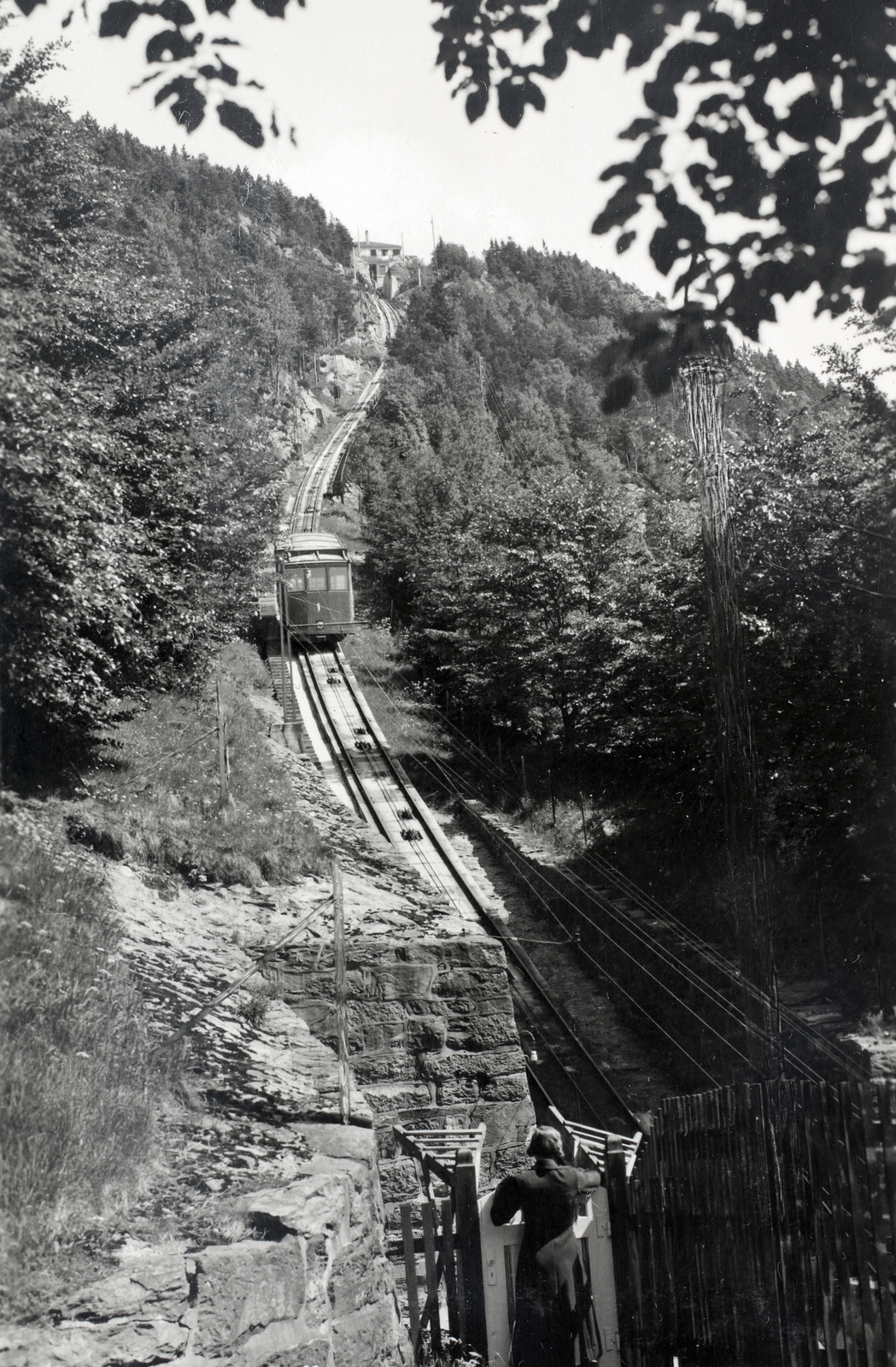 Norway, Bergen, Fløyen hegy, a sikló (Fløibanen)., 1935, Kieselbach Gyula, Fortepan #191706