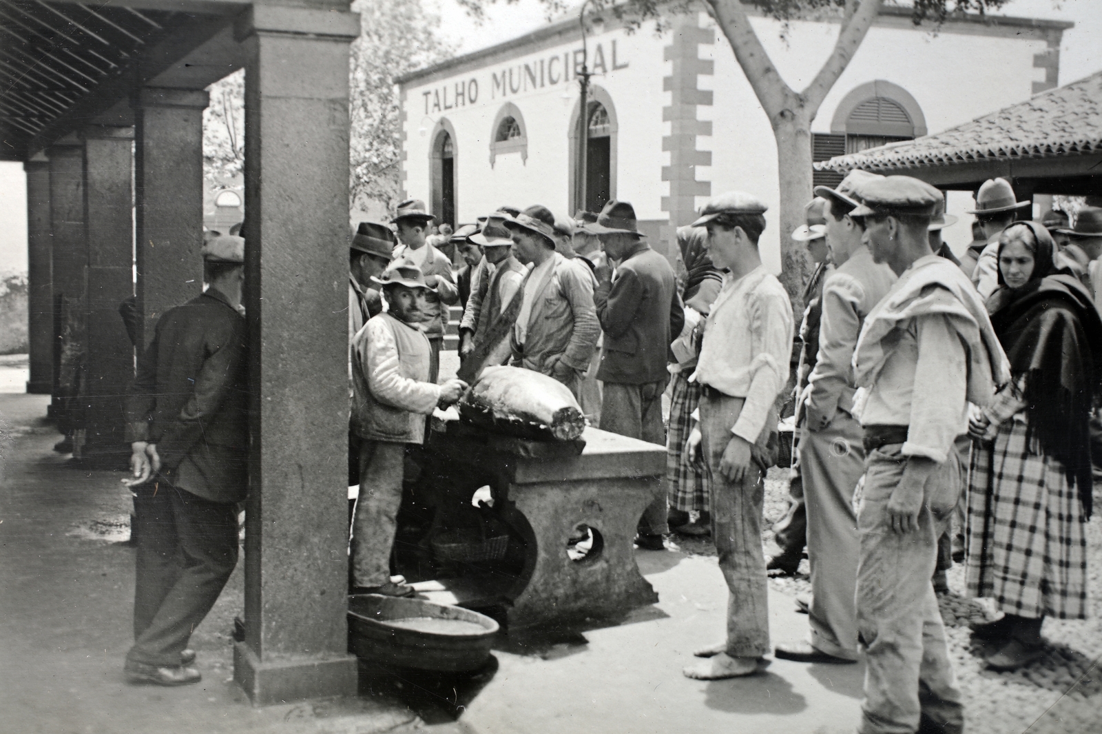 Portugália,Madeira-szigetek,Madeira, városi hentes., 1933, Kieselbach Gyula, életkép, férfiak, Fortepan #191742