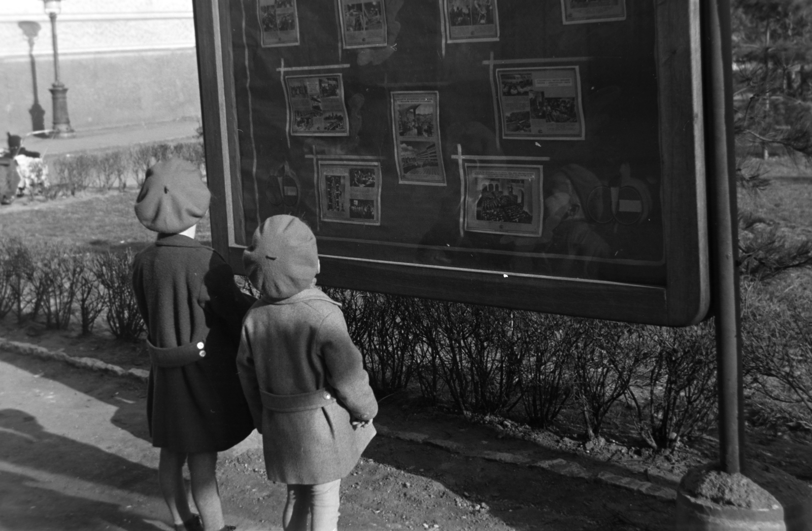 Hungary, Budapest V., Március 15. tér, hirdetőtábla az ELTE Bölcsészkar (egykor és ma Piarista Gimnázium és Rendház) épülete előtt., 1955, Kriss Géza, Budapest, curiosity, kid, billboard, back, beret, picture in picture, Fortepan #191820