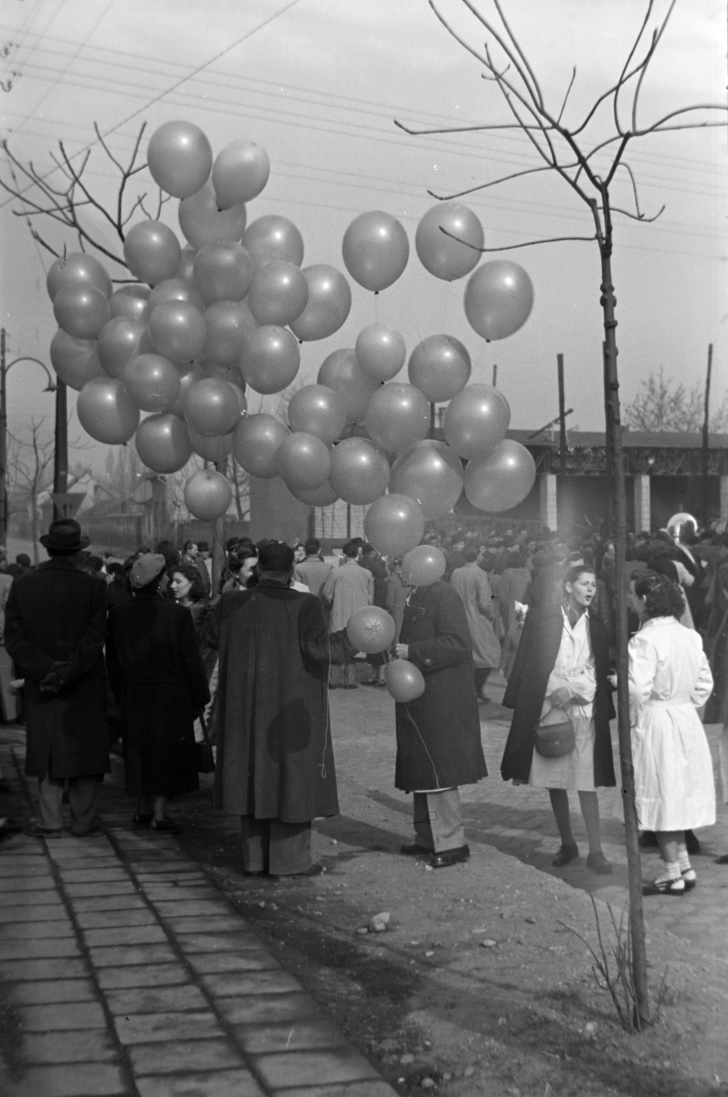 1955, Kriss Géza, baloon, Fortepan #191823