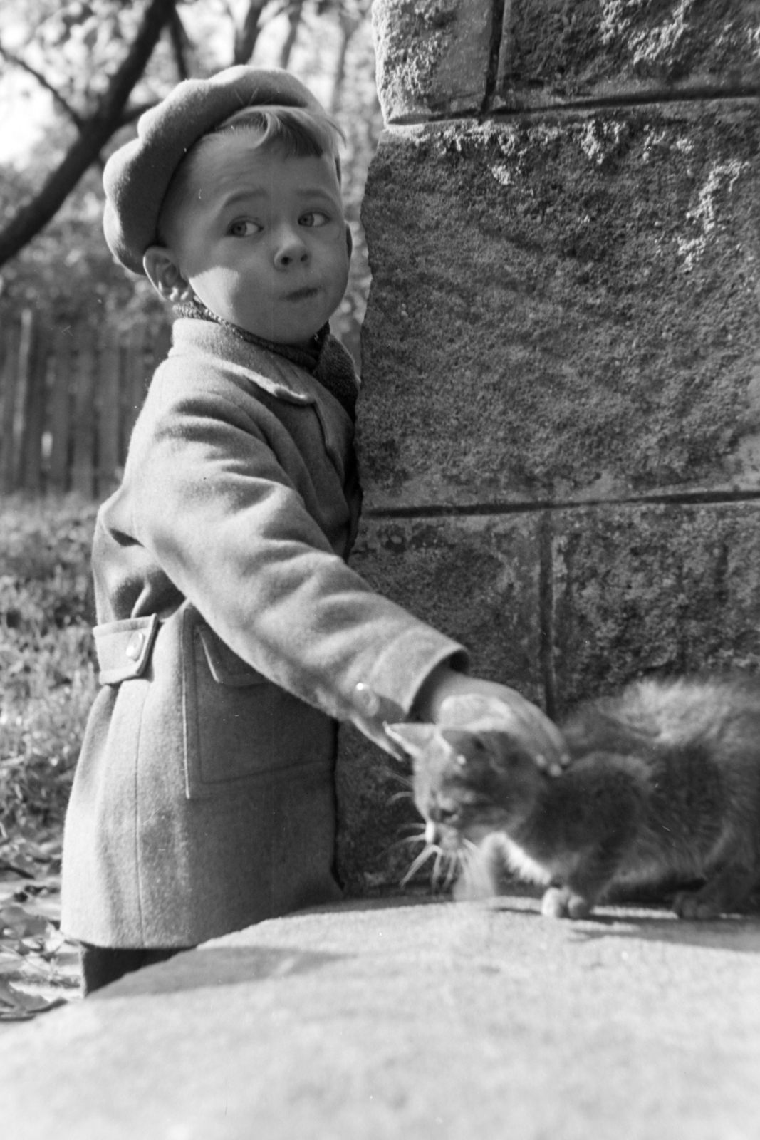 1955, Kriss Géza, cat, kid, Fortepan #191836