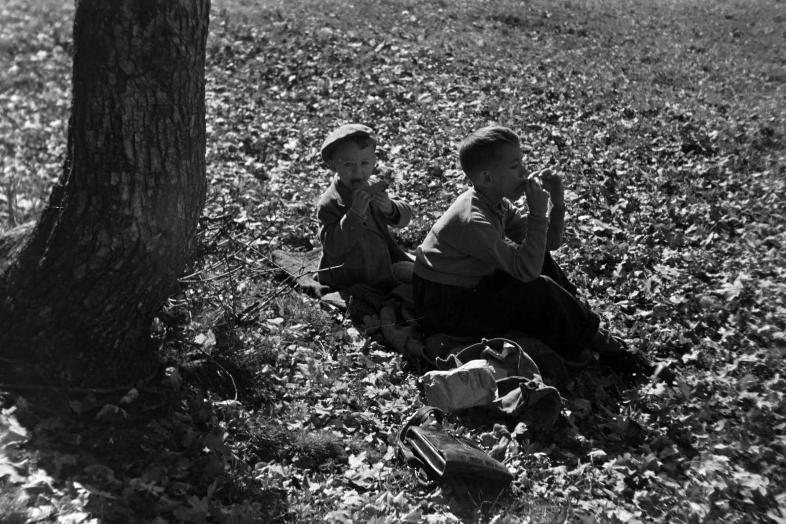 1955, Kriss Géza, sunshine, kids, sitting on the ground, relaxation, fallen leaves, Fortepan #191842