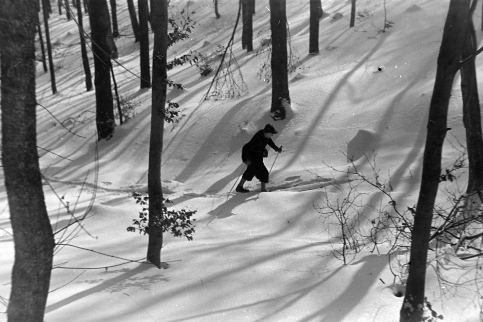 Hungary, Budapest XII., Harangvölgy a Normafa alatt., 1955, Kriss Géza, skiing, Budapest, Fortepan #191871