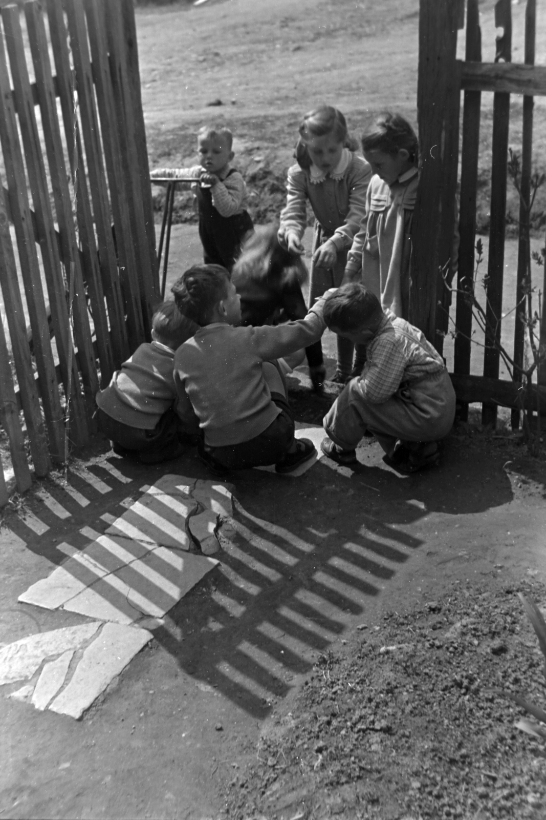 1956, Kriss Géza, kids, lath fence, gate, toy, Fortepan #191894