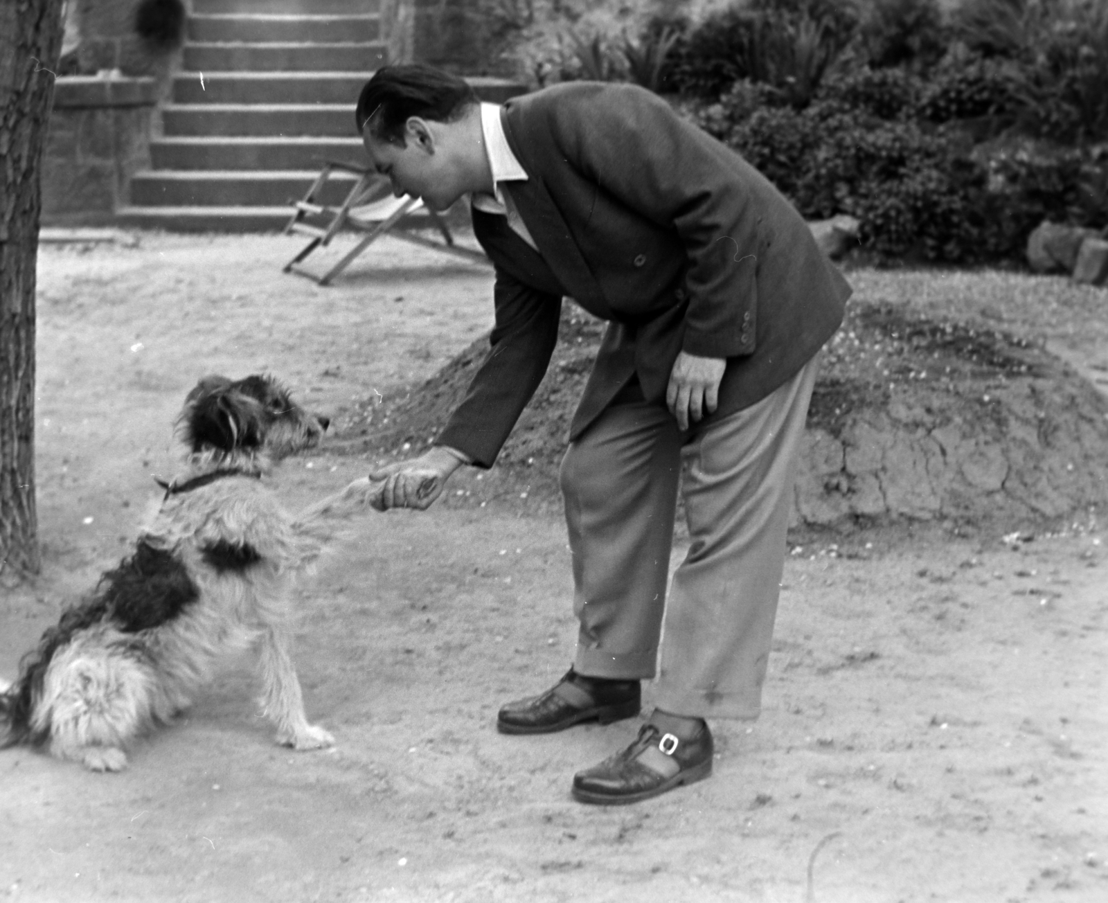 1956, Kriss Géza, dog, handshake, animal trainer, Fortepan #191909