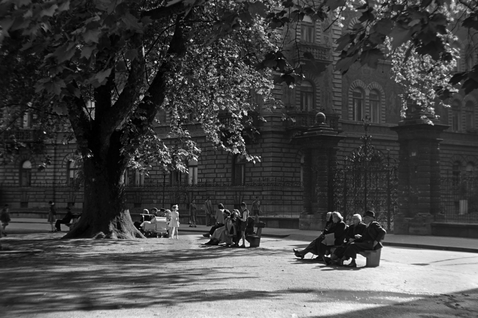 Hungary, Budapest VI., Kodály körönd (Körönd)., 1956, Kriss Géza, Budapest, bench, square, wood, sunshine, rest area, Fortepan #191934