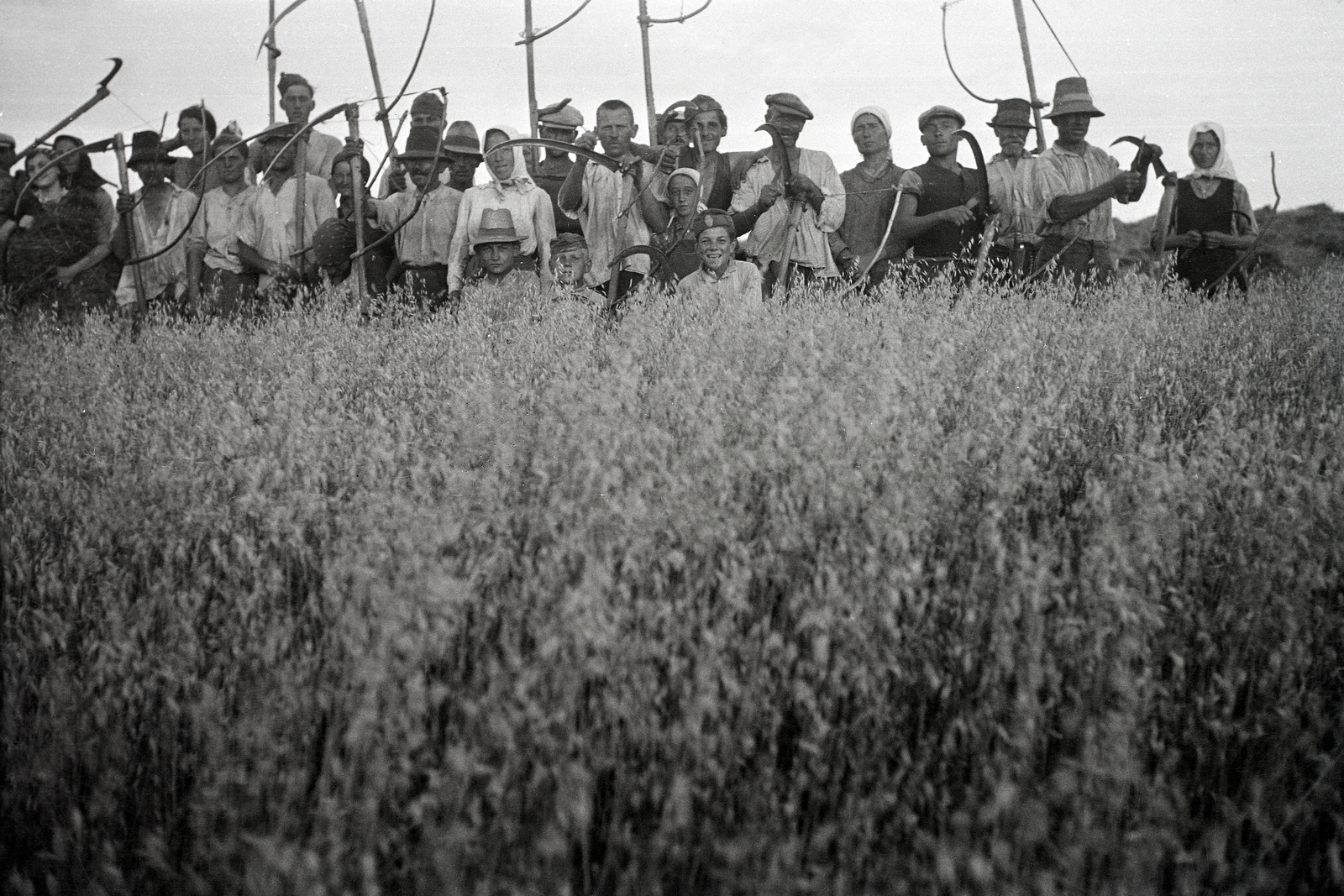 1935, Rothman család, mezőgazdaság, aratás, kasza, Fortepan #19200