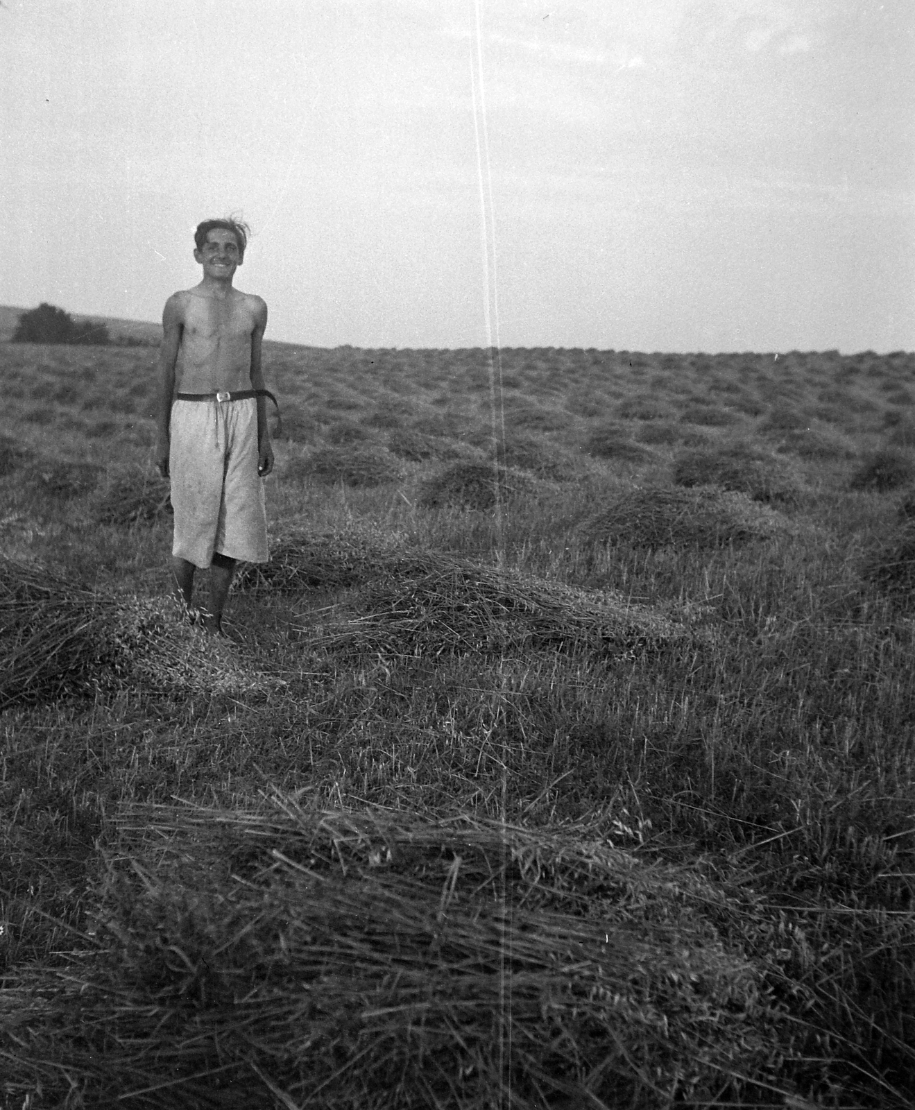 1935, Rothman család, mező, félmeztelen, Fortepan #19203