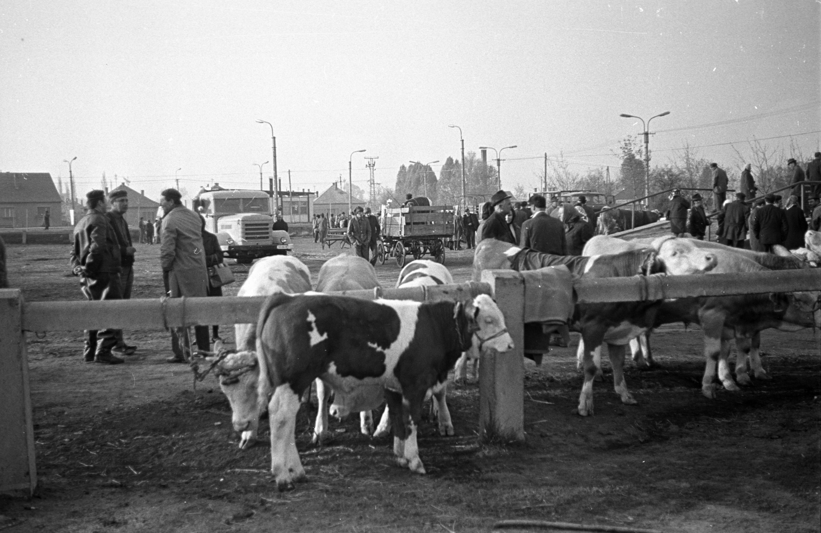 1978, Kriss Géza, market, Fortepan #192254