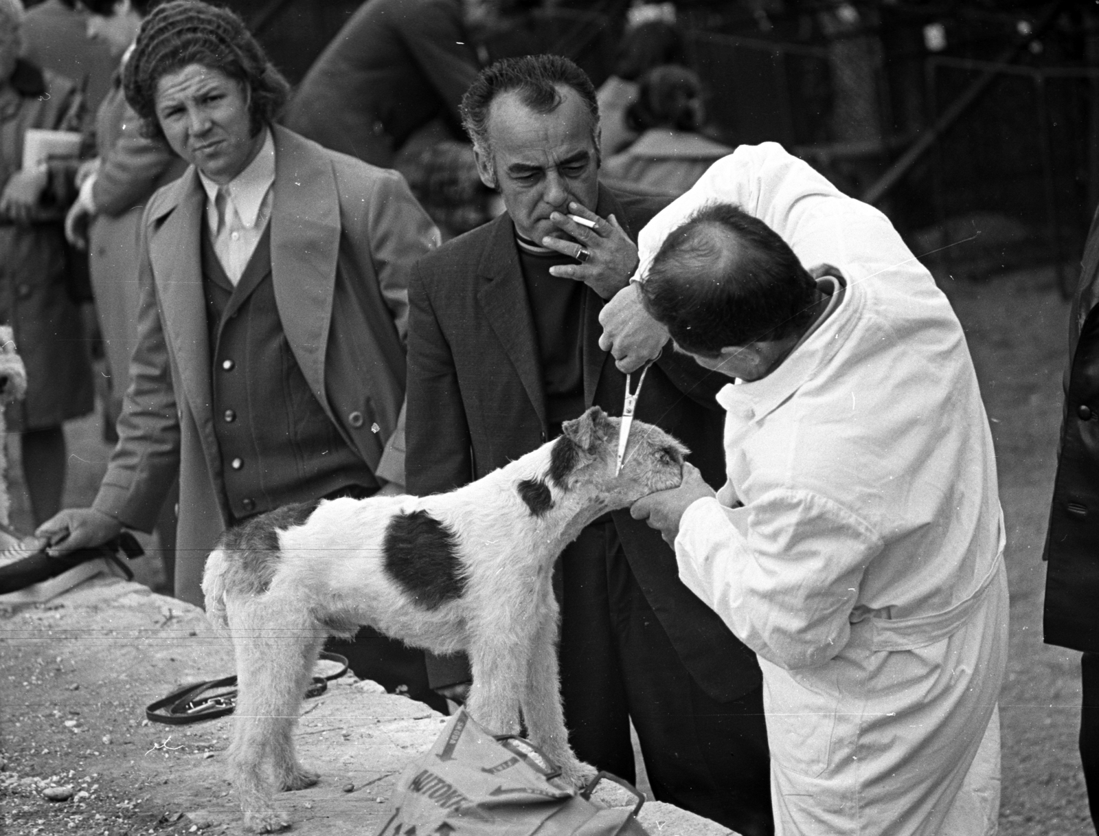 1979, Kriss Géza, dog, Fortepan #192280