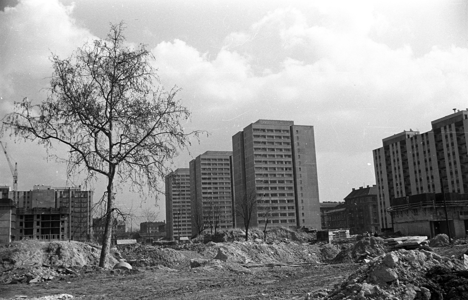 Hungary, Budapest VIII., a Szigony utcai bontási területtől a Práter utcai toronyházak felé nézve, balra a háttérben a fa mögött az Illés utca épületei., 1976, Kriss Géza, Budapest, Fortepan #192434