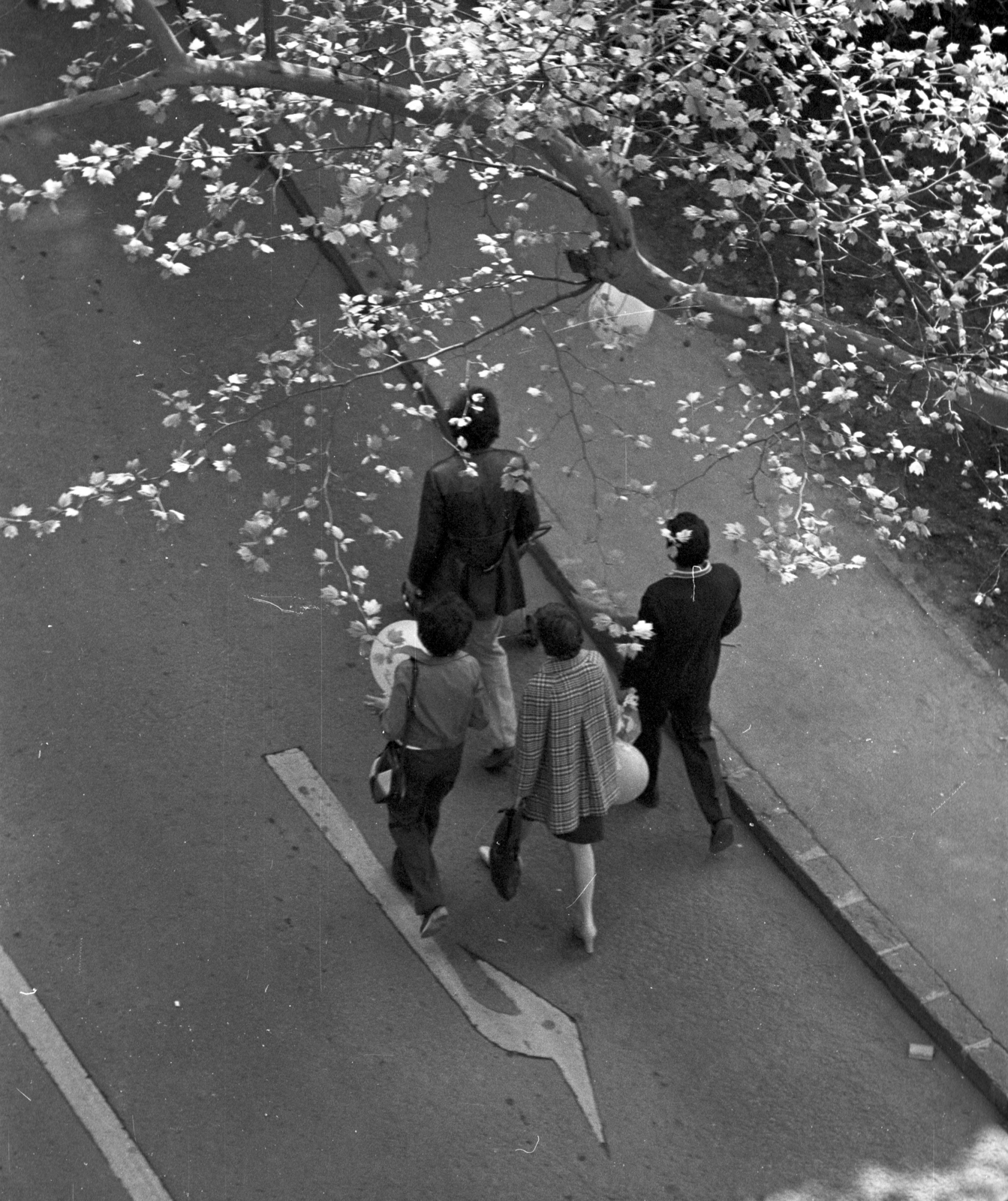 Hungary, Budapest VI., Kodály körönd., 1979, Kriss Géza, Budapest, Fortepan #192470