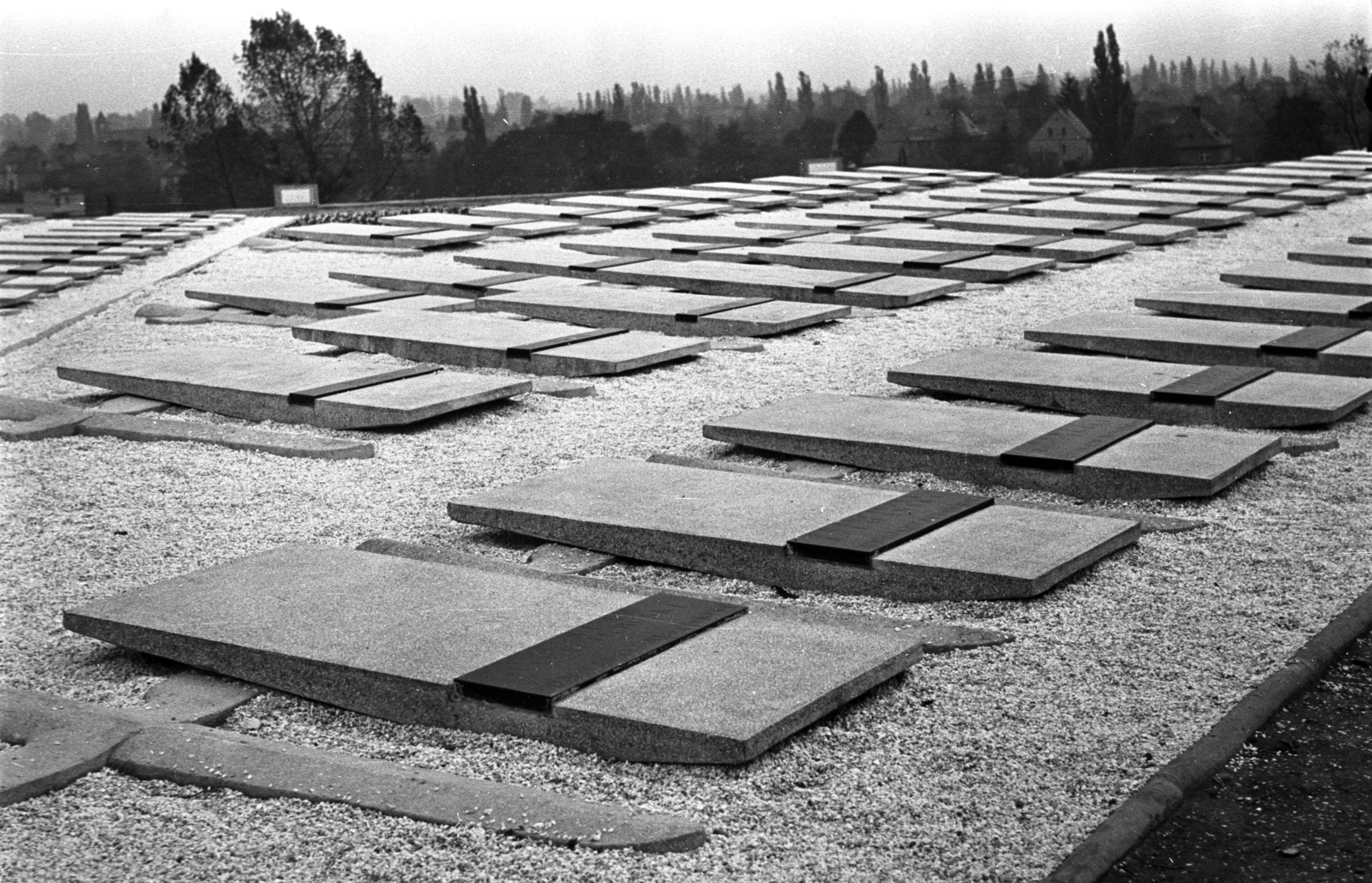 Poland, Wroclaw, Grabiszyñska park, II. világháborús lengyel katonák és áldozatok temetője., 1975, Kriss Géza, cemetery, Fortepan #192816