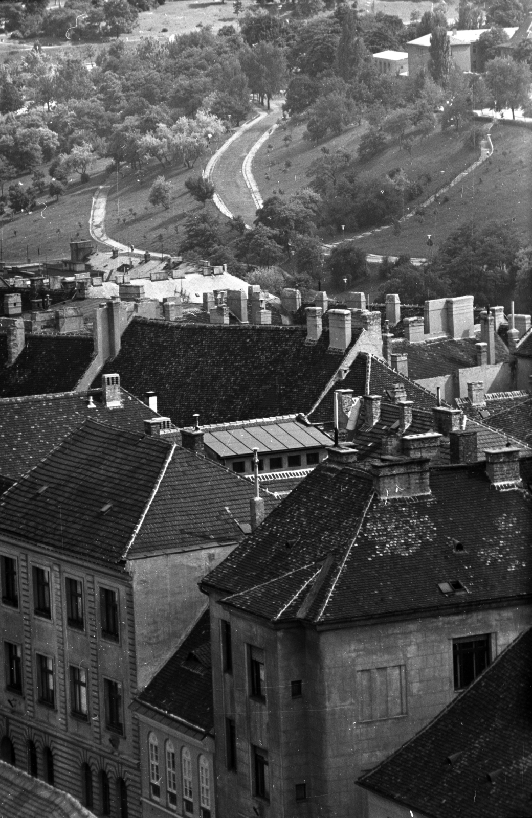 Hungary, Budapest I., kilátás a Mátyás-templom tornyából a Tárnok utca és a Naphegy felé., 1969, Kriss Géza, Budapest, Fortepan #192976