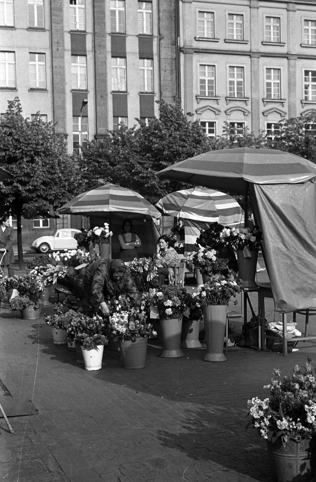 Lengyelország, Wroclaw, Plac Solny, háttérben a 20. és 19. számú ház., 1975, Kriss Géza, Fortepan #193263