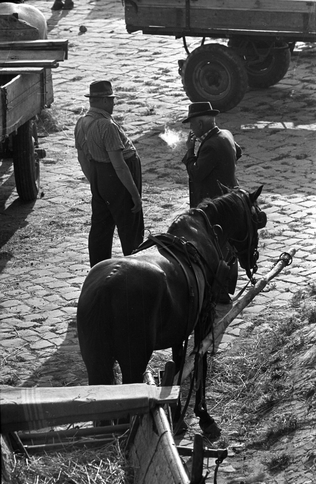 Hungary, Győr, Mosoni-Duna part, alsó rakpart a Dunakapu térnél. Fuvarosok pihenőben., 1971, Kriss Géza, Fortepan #193279