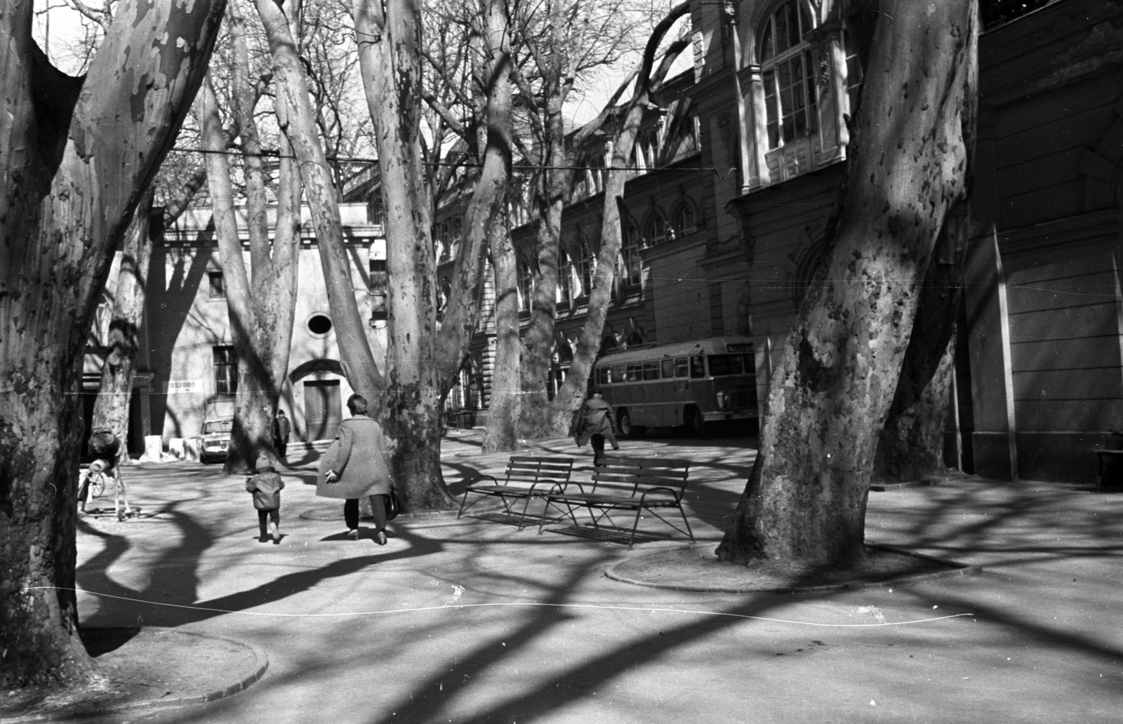 Hungary, Budapest II., Lukács fürdő., 1975, Kriss Géza, Budapest, Fortepan #193301
