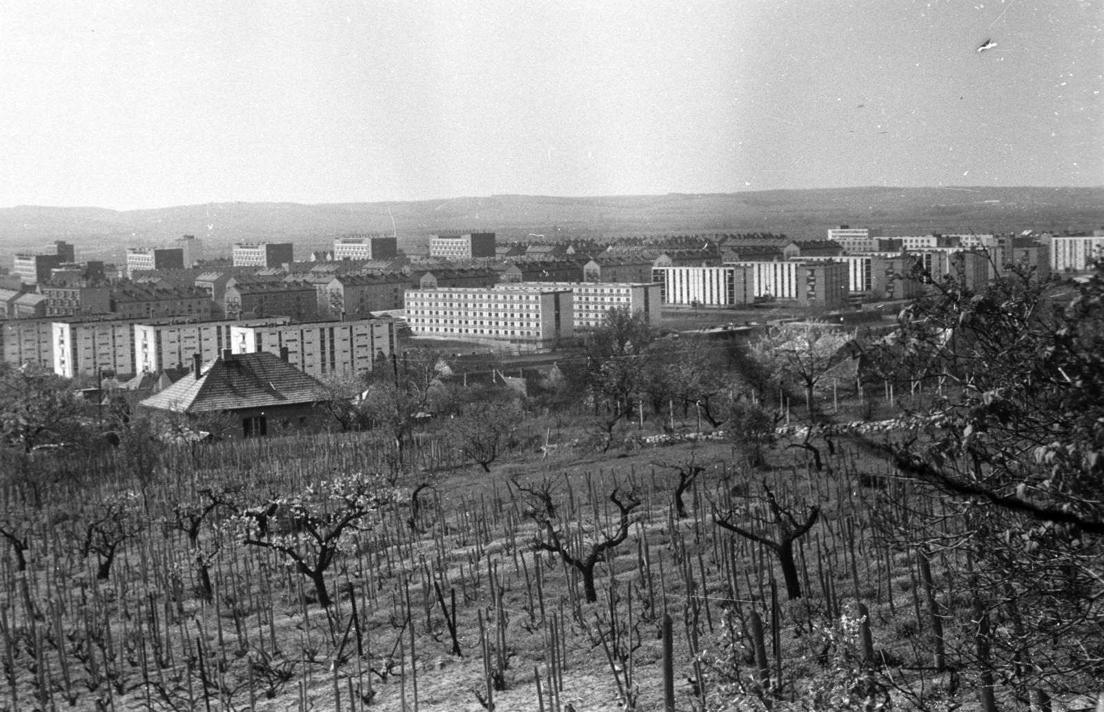 Magyarország, Uránváros, Pécs, kilátás a Makár-hegy felől, középen a Stadion utca épületei., 1975, Kriss Géza, Fortepan #193313