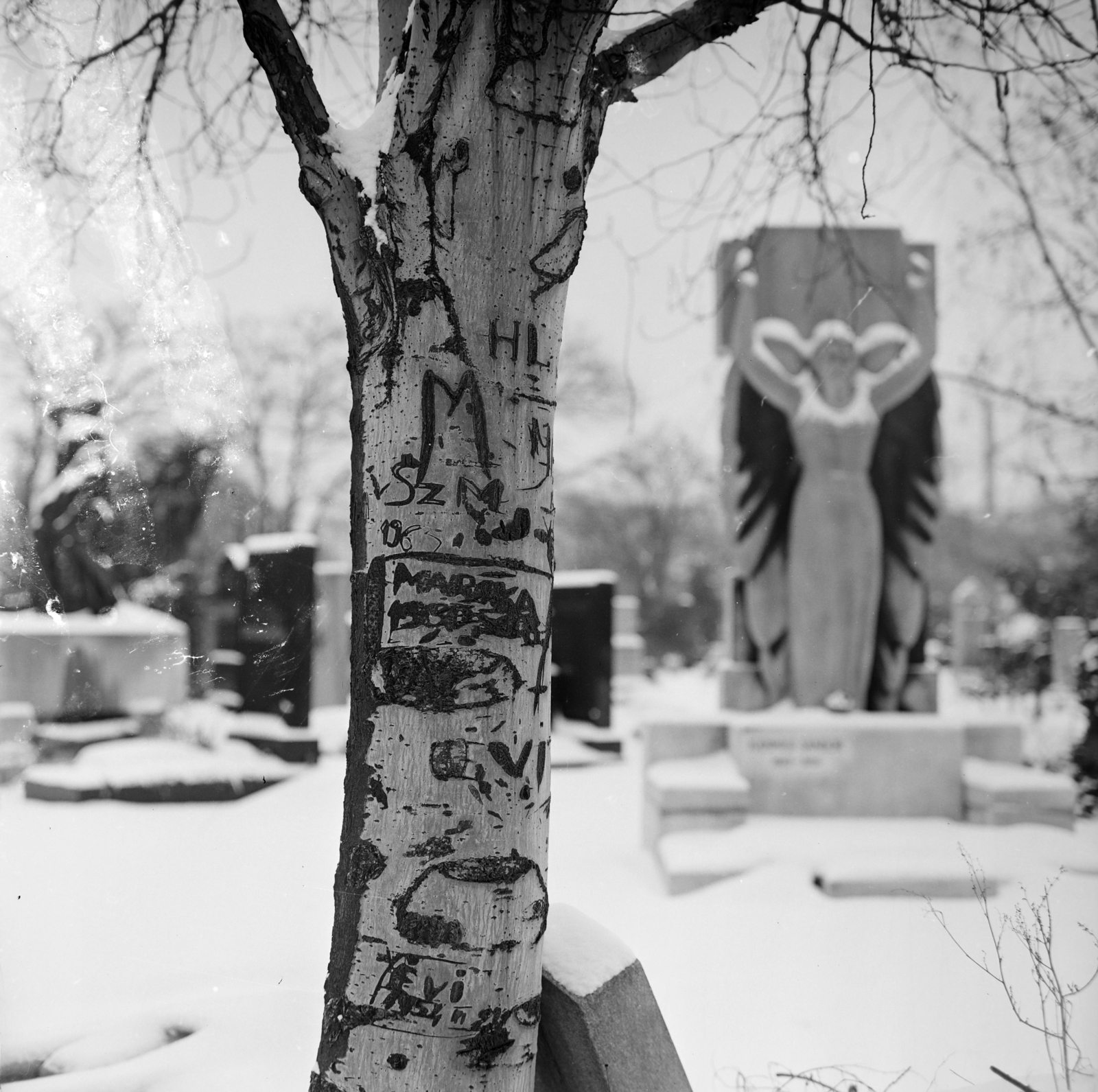 Magyarország, Budapest VIII., Fiumei úti Nemzeti Sírkert (Kerepesi temető)., 1968, Gábor Viktor, Budapest, Fortepan #193802