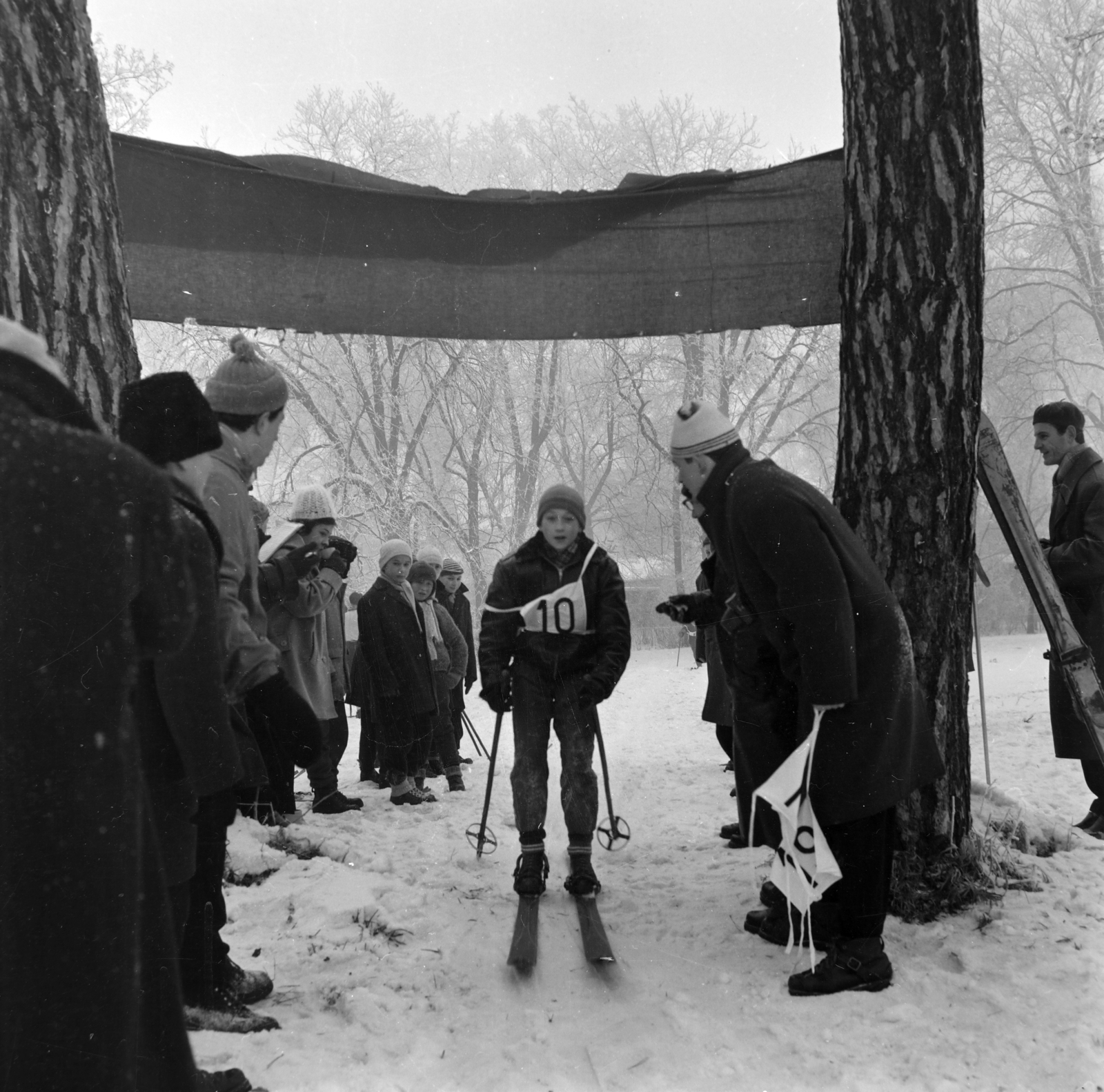1965, Gábor Viktor, verseny, rajtszám, síelés, Fortepan #193888