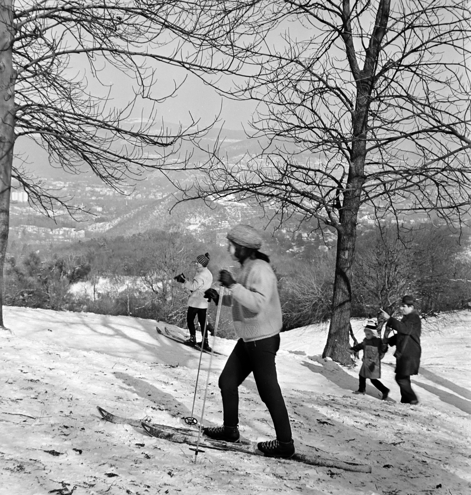 Magyarország, Budapest XII., Normafa, kilátás a Hunyad-orom felé., 1965, Gábor Viktor, Budapest, Fortepan #193889