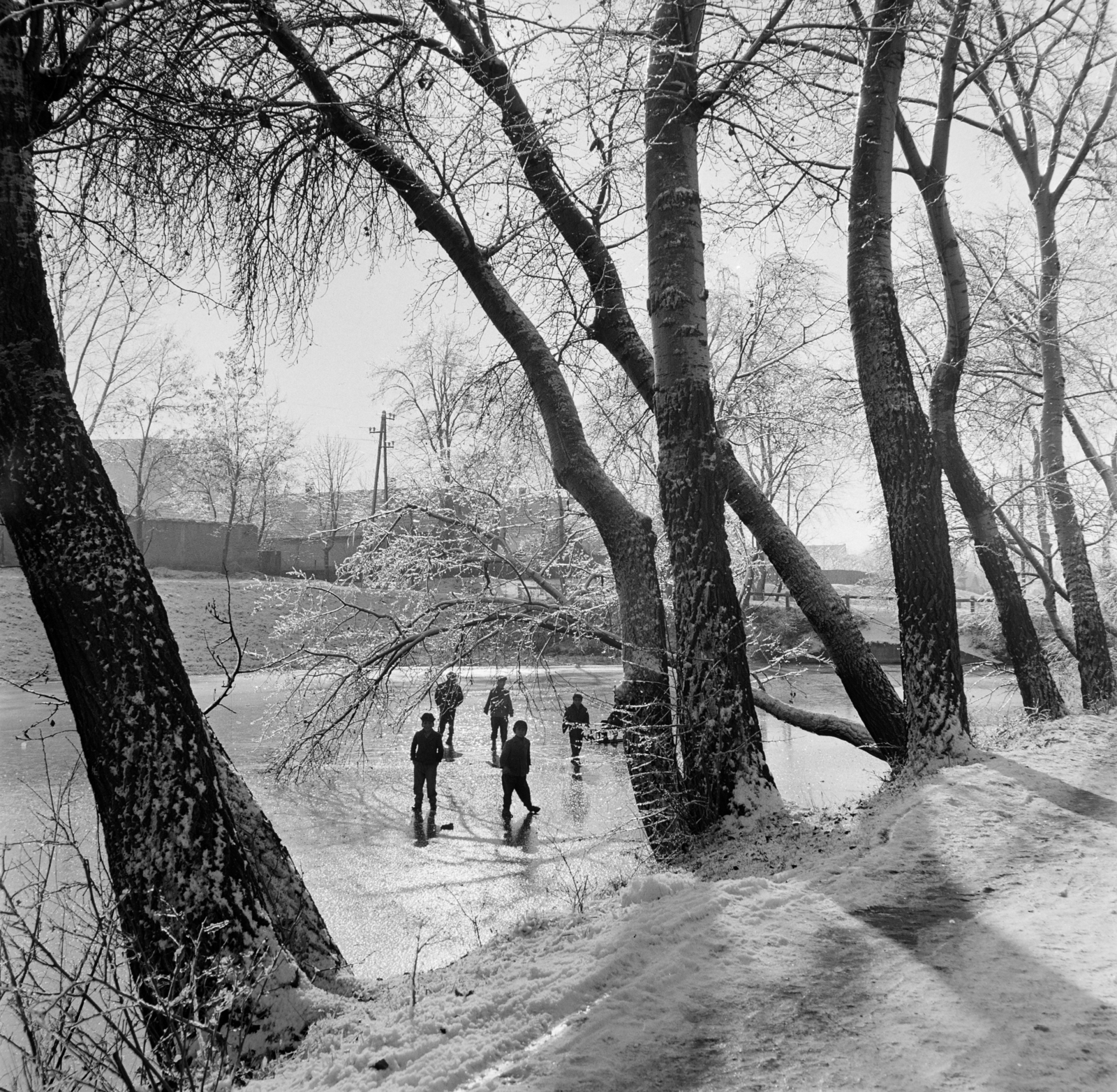 Hungary, 1971, Gábor Viktor, winter, skating, Fortepan #193893